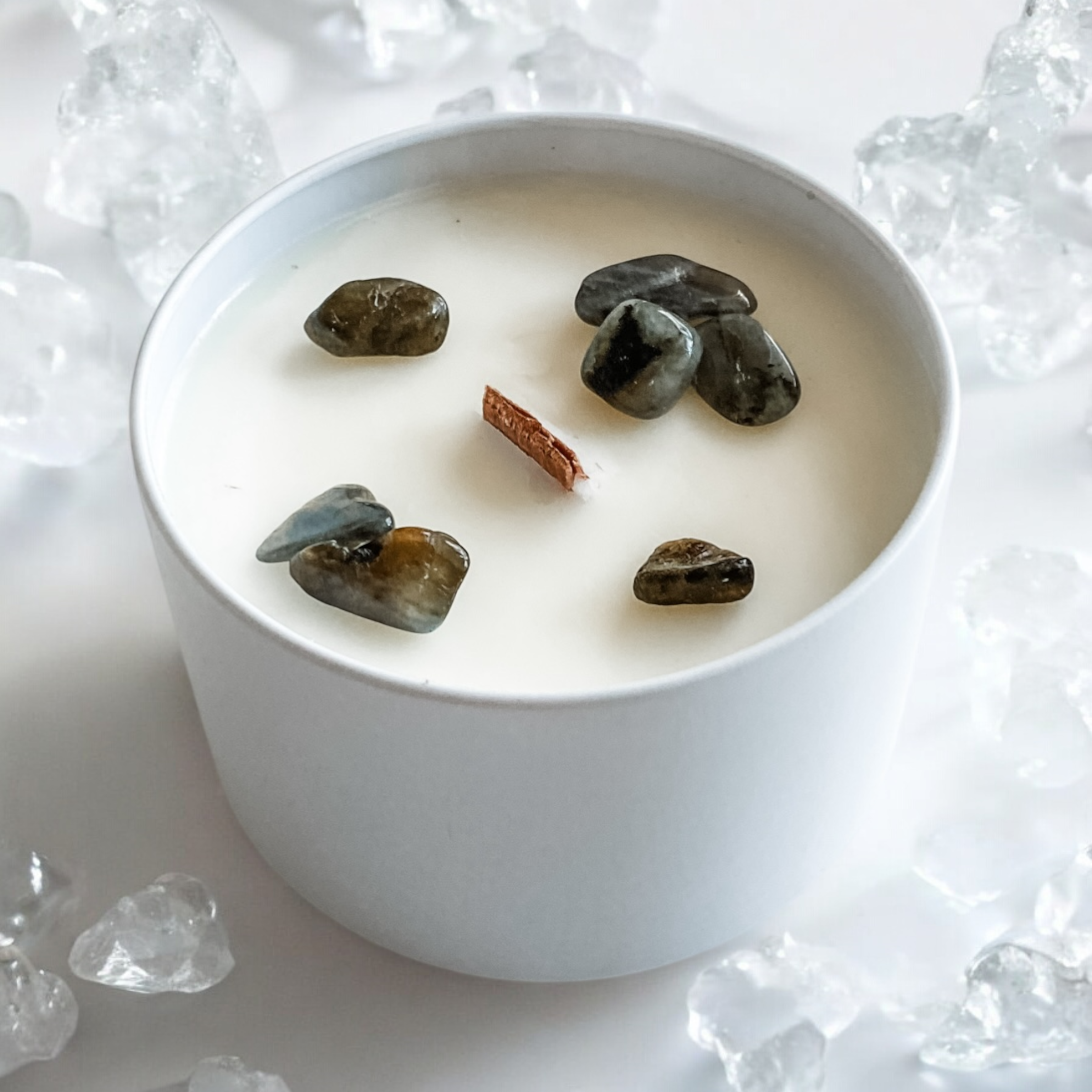 Photo Nov 15 2024, 10 20 36 AM (1).png