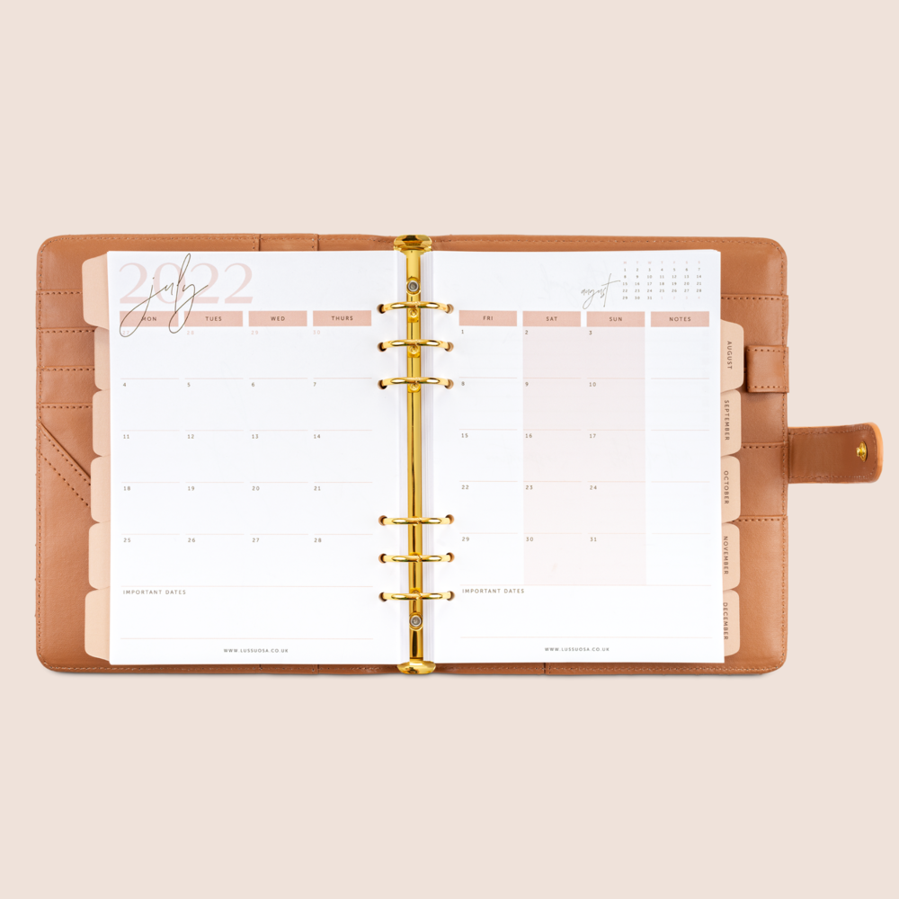 2023 Daily Planner, Minimal Set Up with Louis Vuitton Inserts