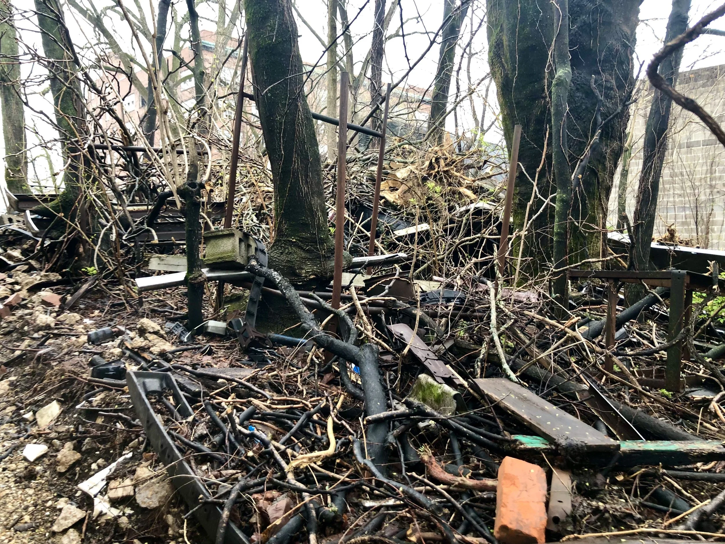 Piles of trash, branches, and trees, including one that has grown around a bumper.