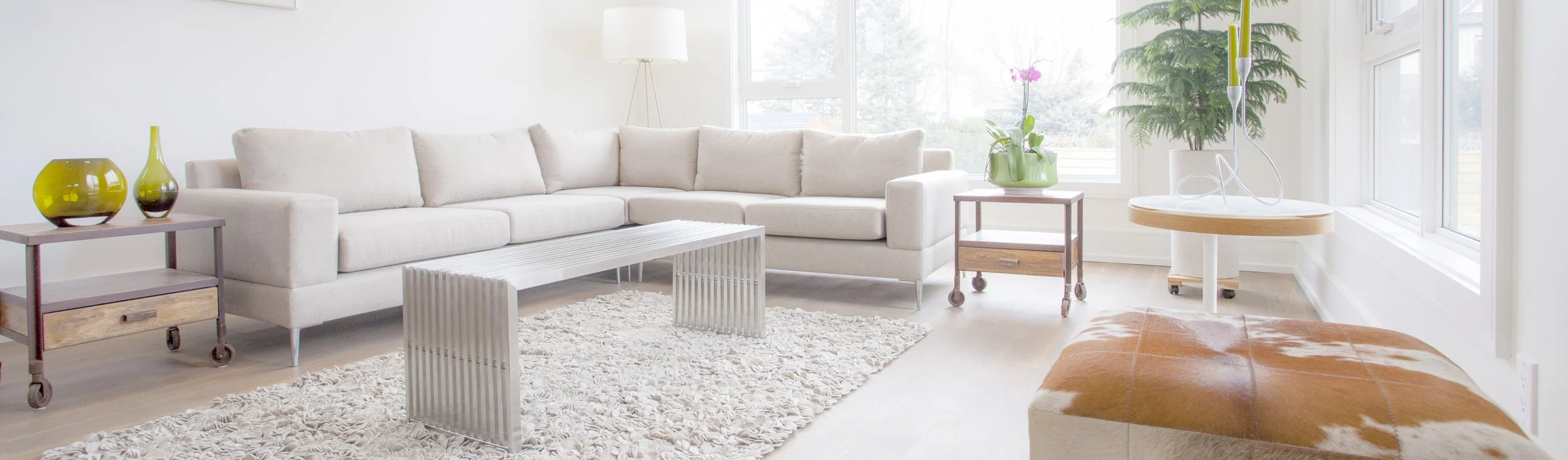 IMG_8269 web site 2.jpg