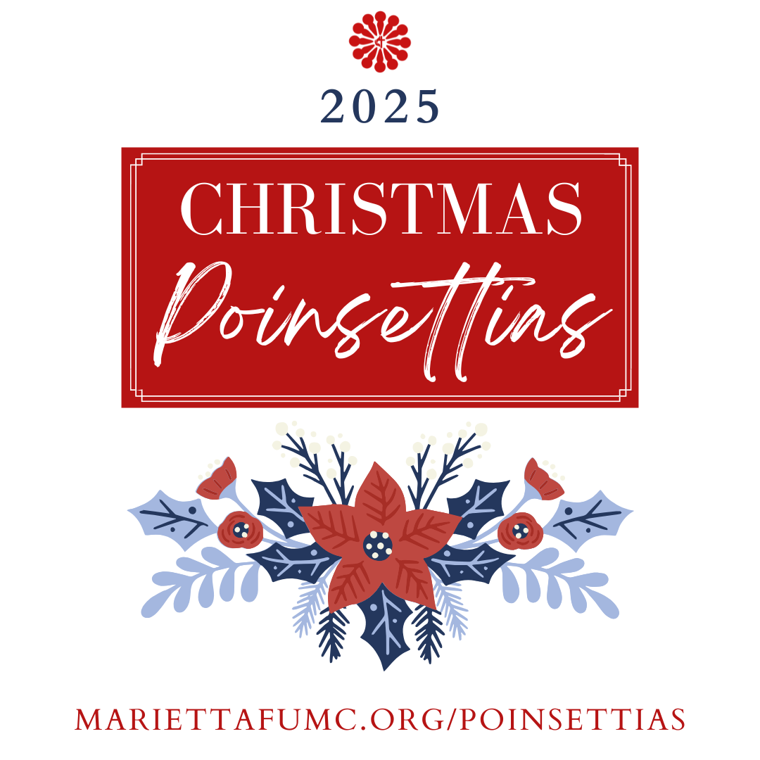 Christmas Poinsettias
