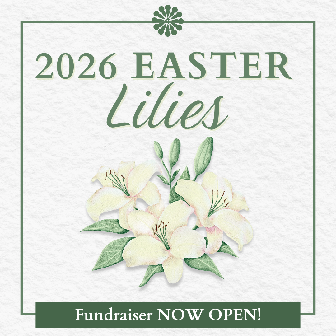 Easter Lilies Fundraiser