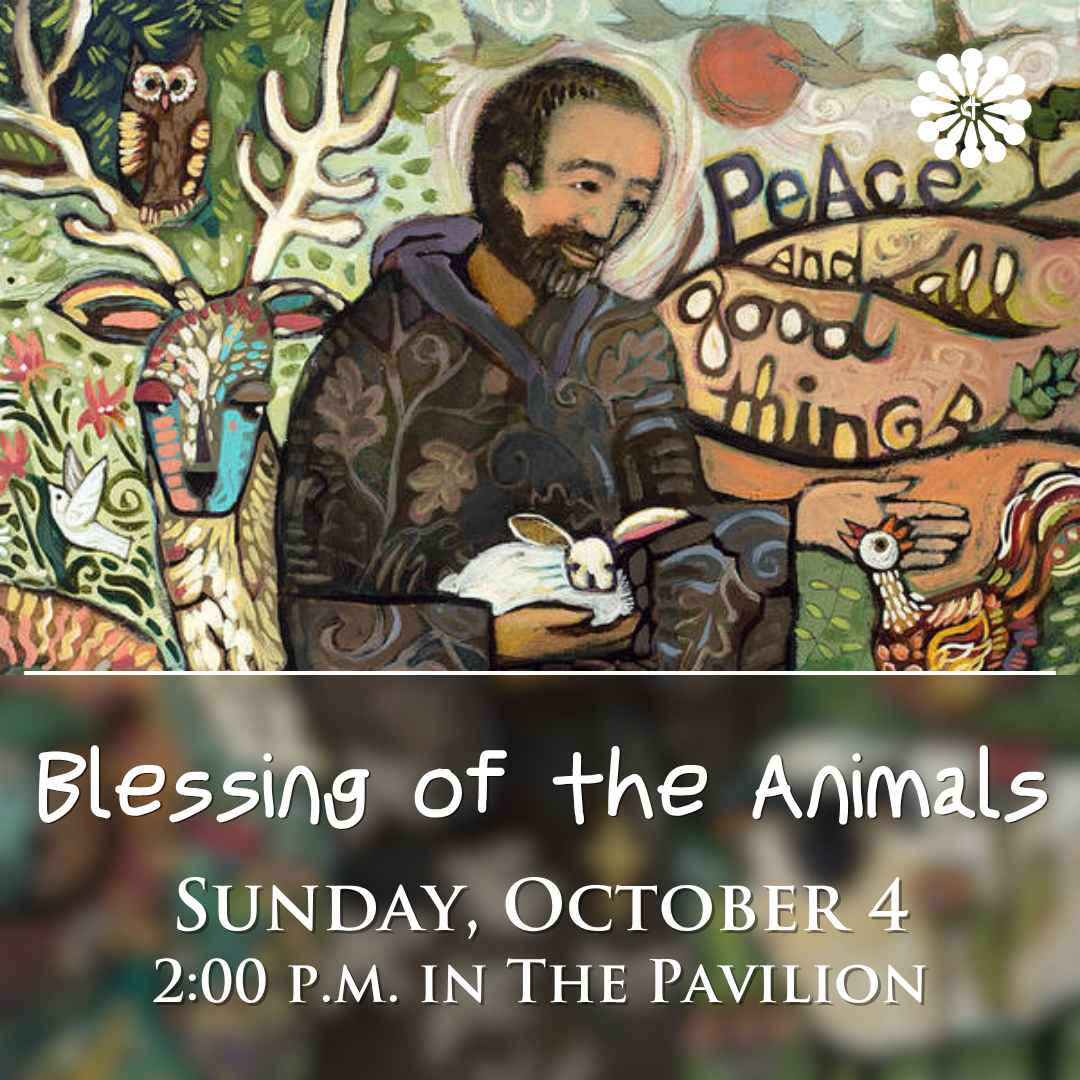 Blessing of the Animals
