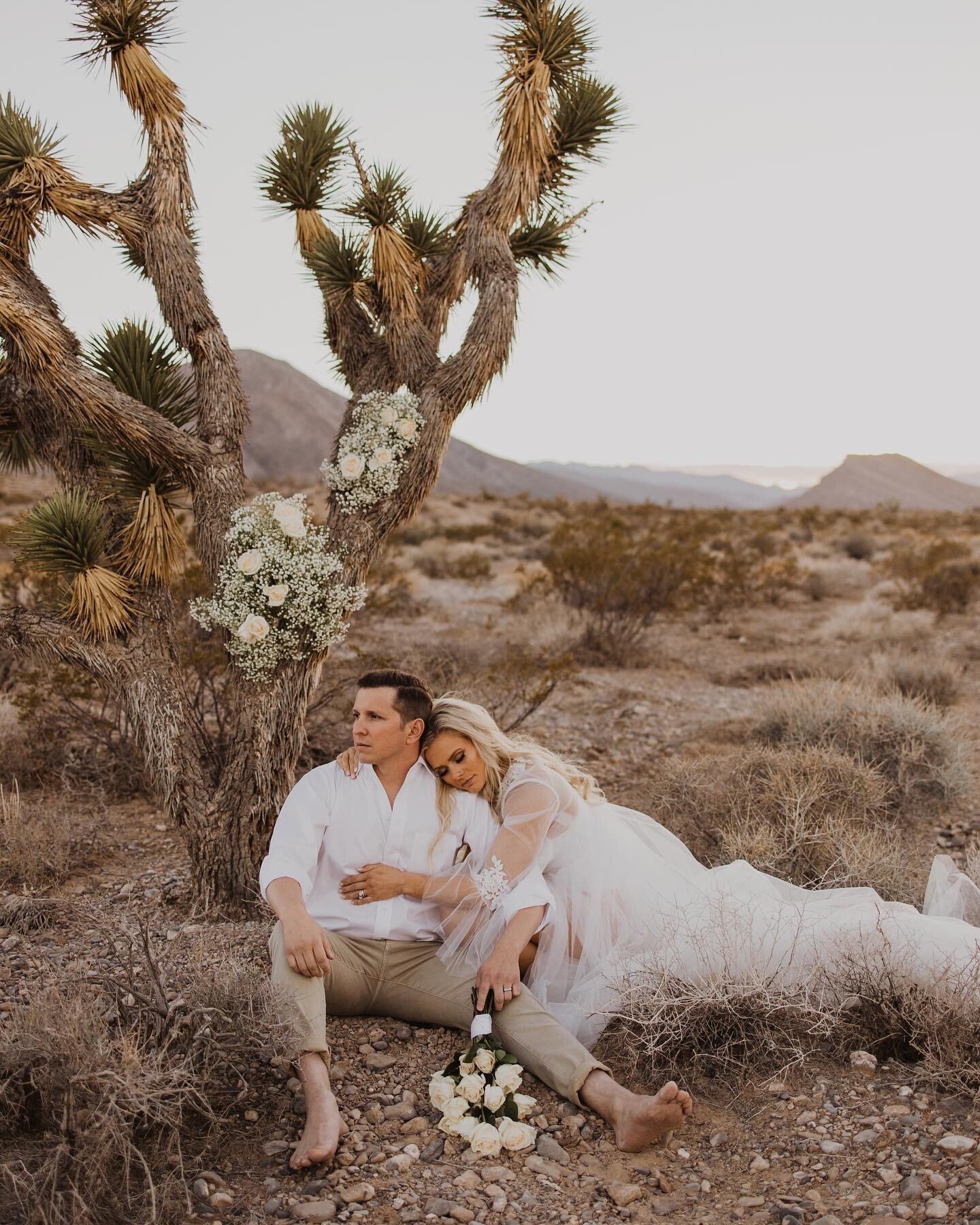 In the middle of the desert, I found you. #ashleecrowdenphotography