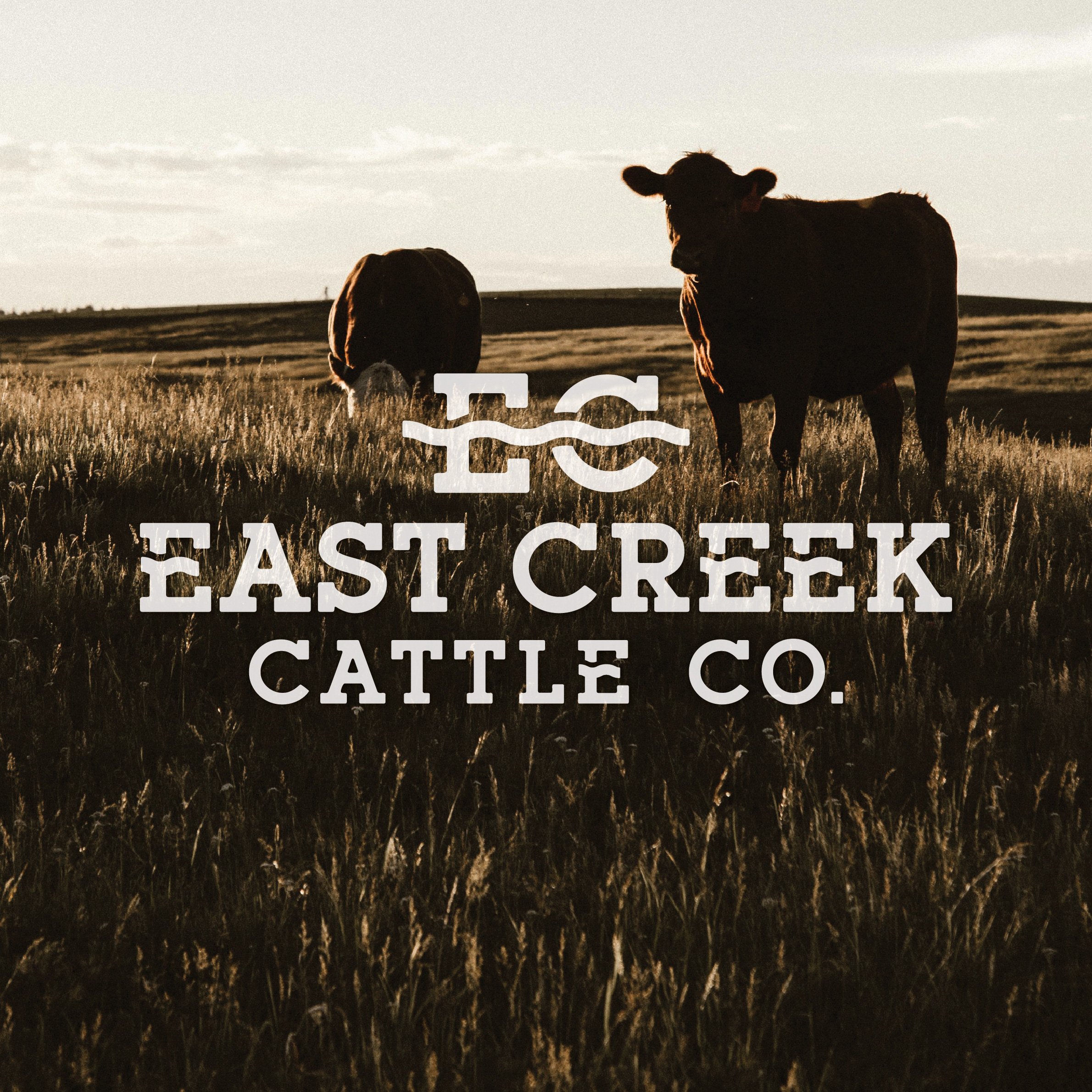 East Creek Cattle Co.