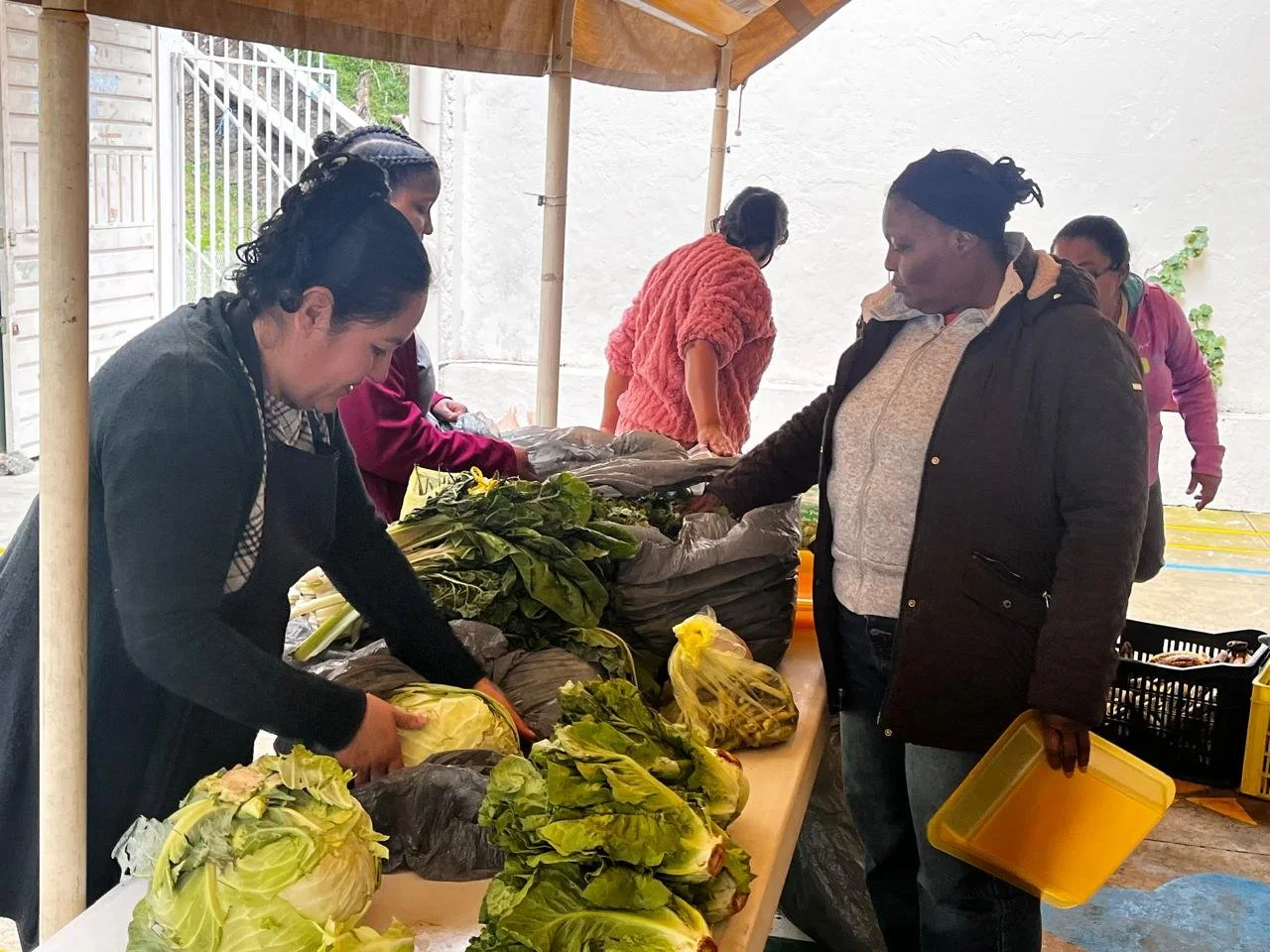 WhatsApp Image 2026-01-28 at 10.33.30 PM.jpeg