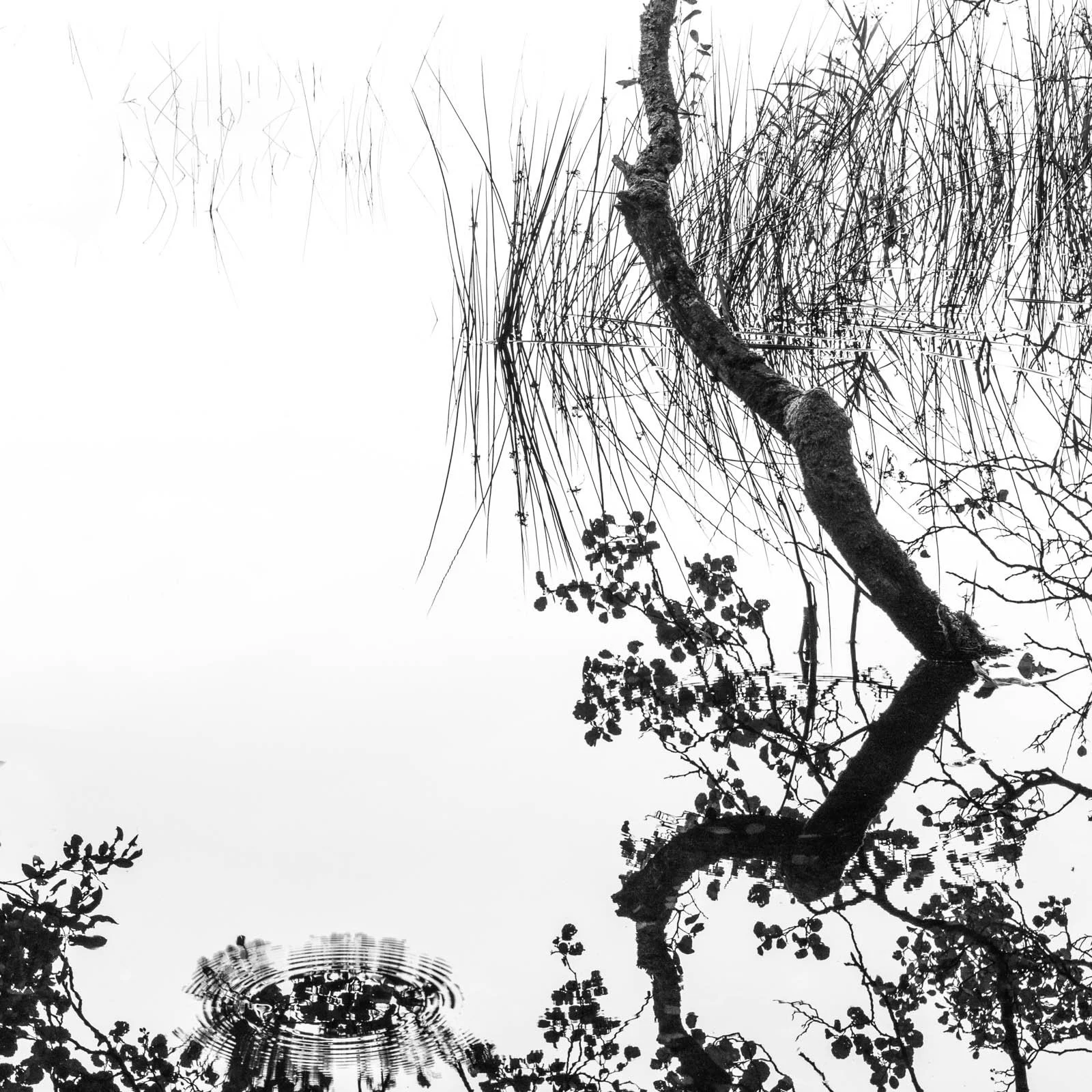 2 Lake District backwater.jpg