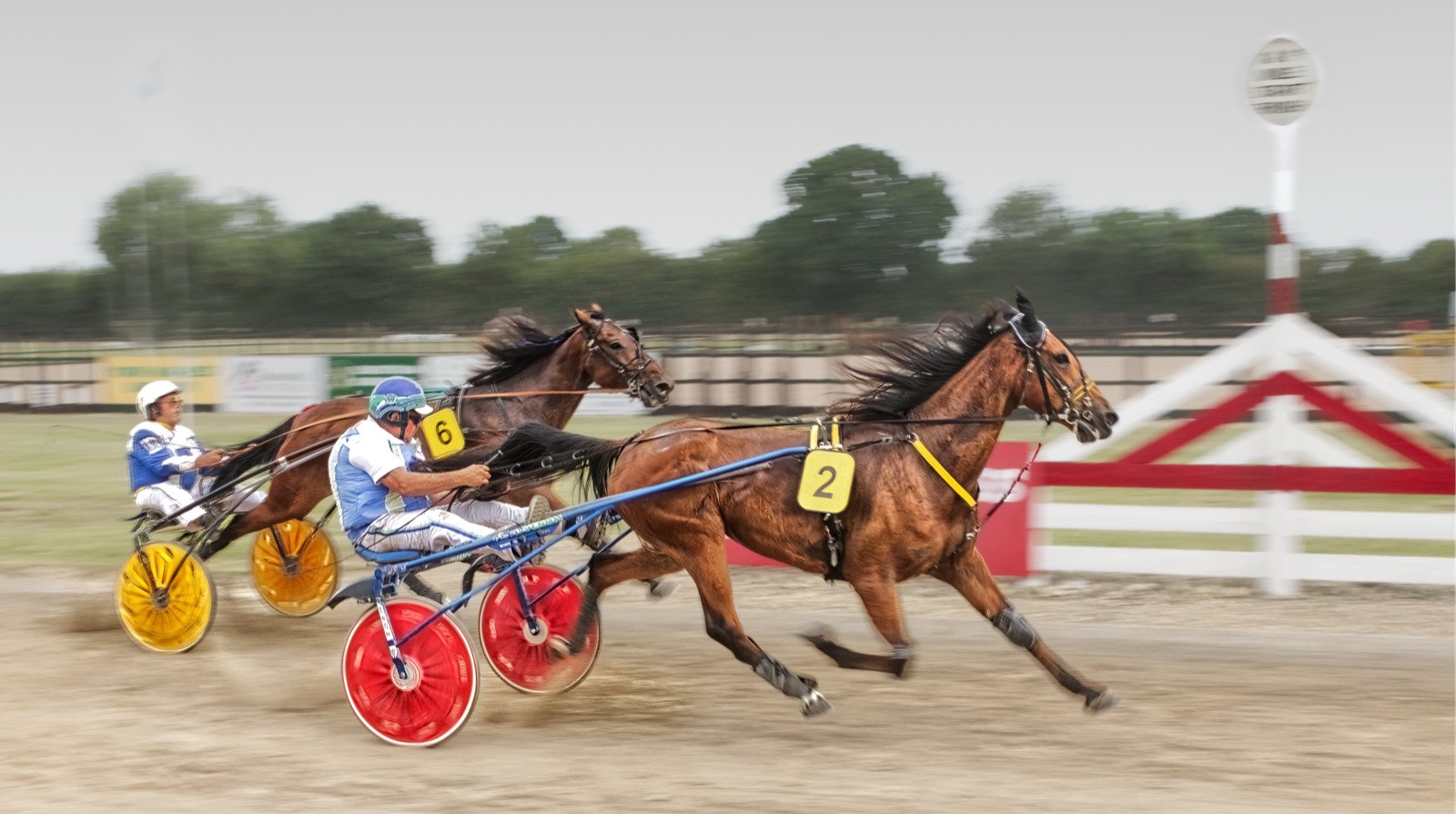 No. 2 by a length.jpg