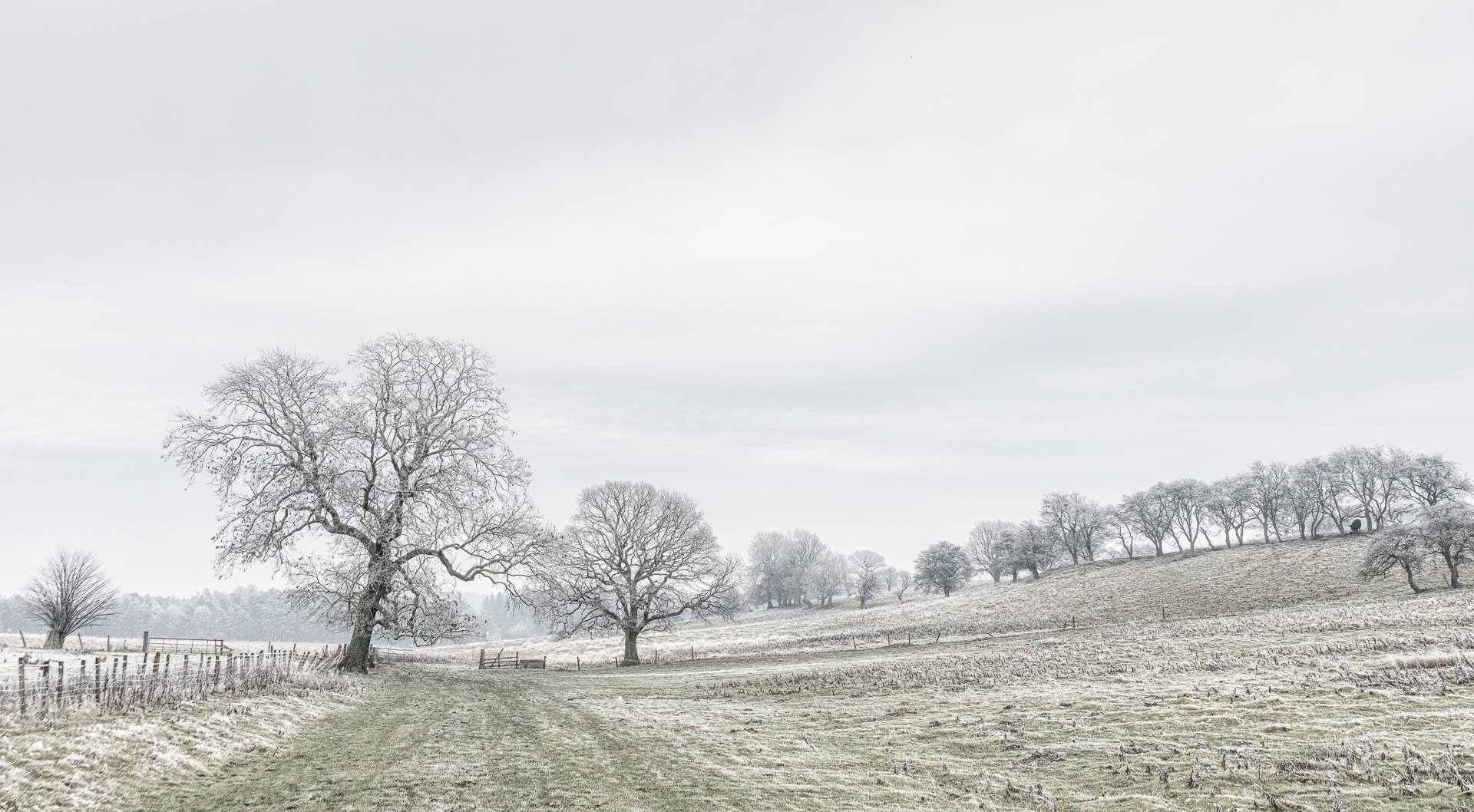 Monty_Downs Way walk01.jpg