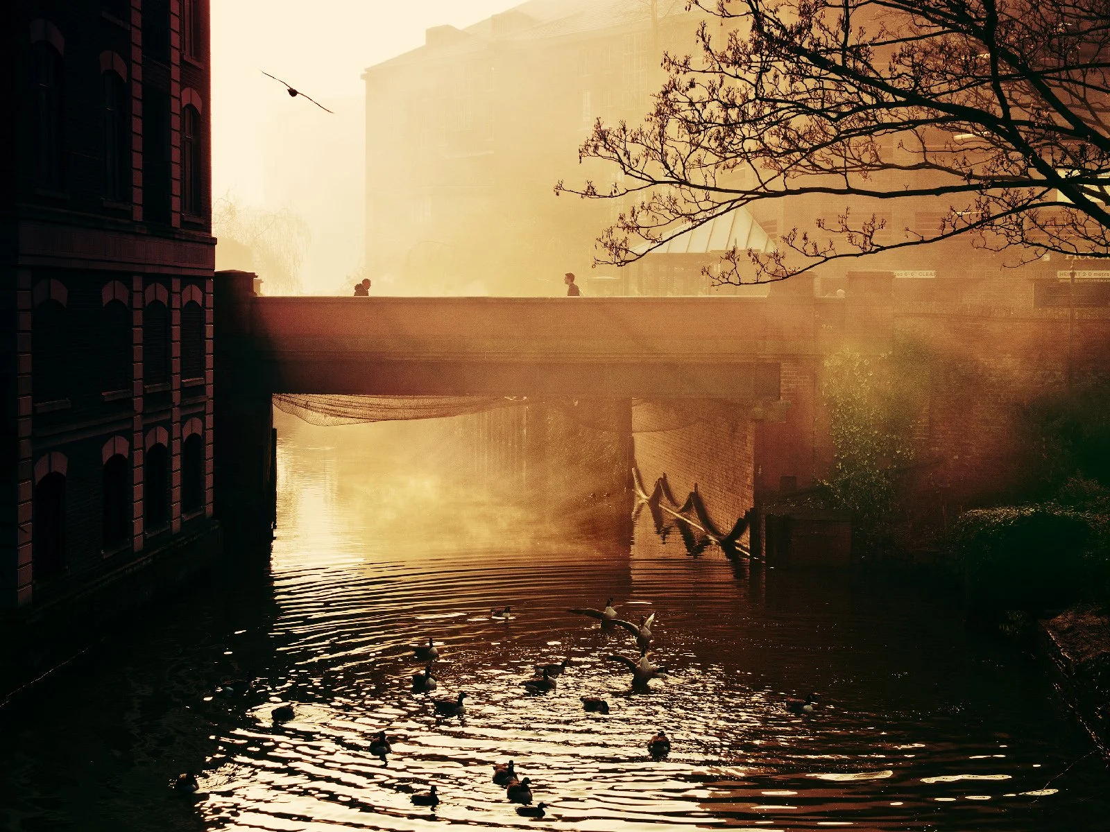 Canal mist.jpg