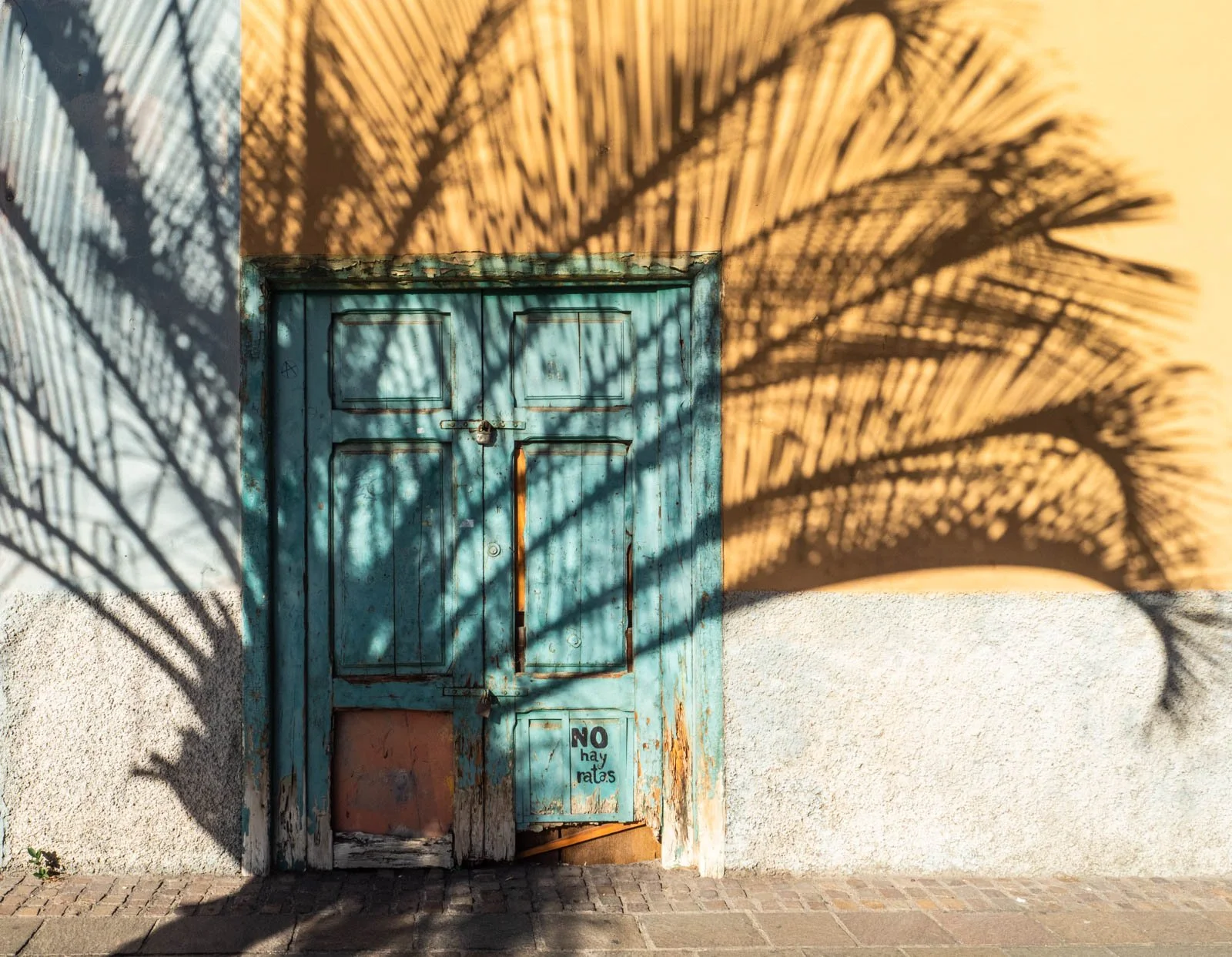 10 No rats here!.jpg