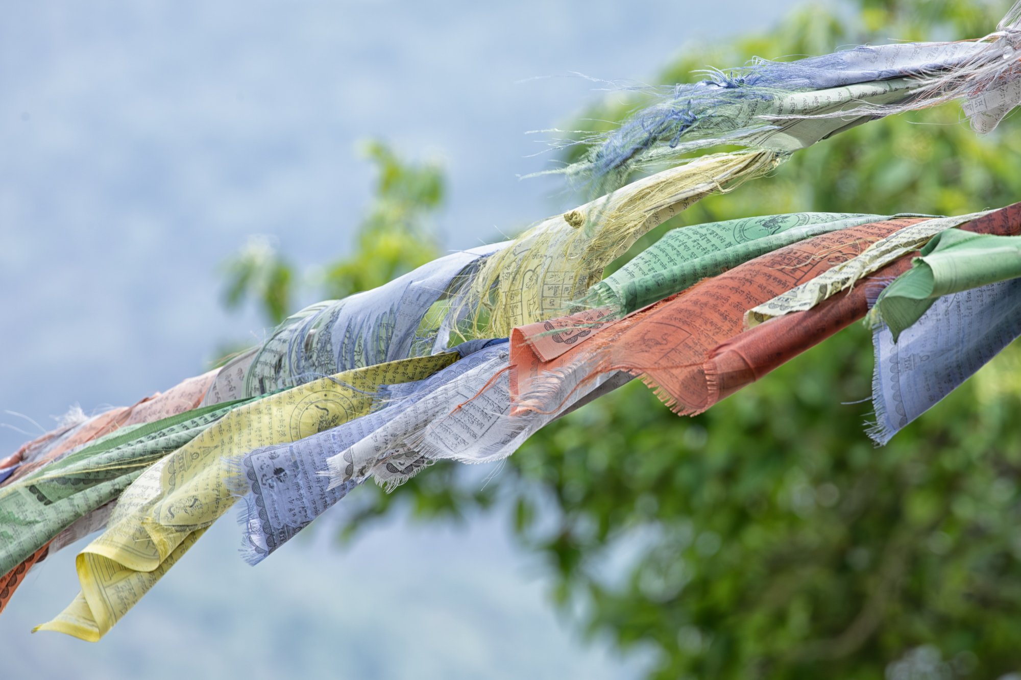 A Prescott Weathered Prayer Flags Bhutan--.jpg
