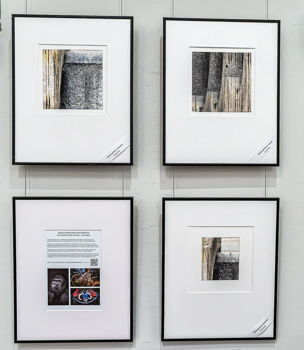 Monty_GAMMA at EPS_7.jpg