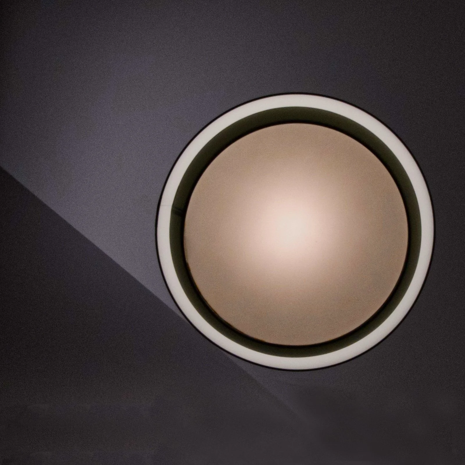 The light fantastic.jpeg