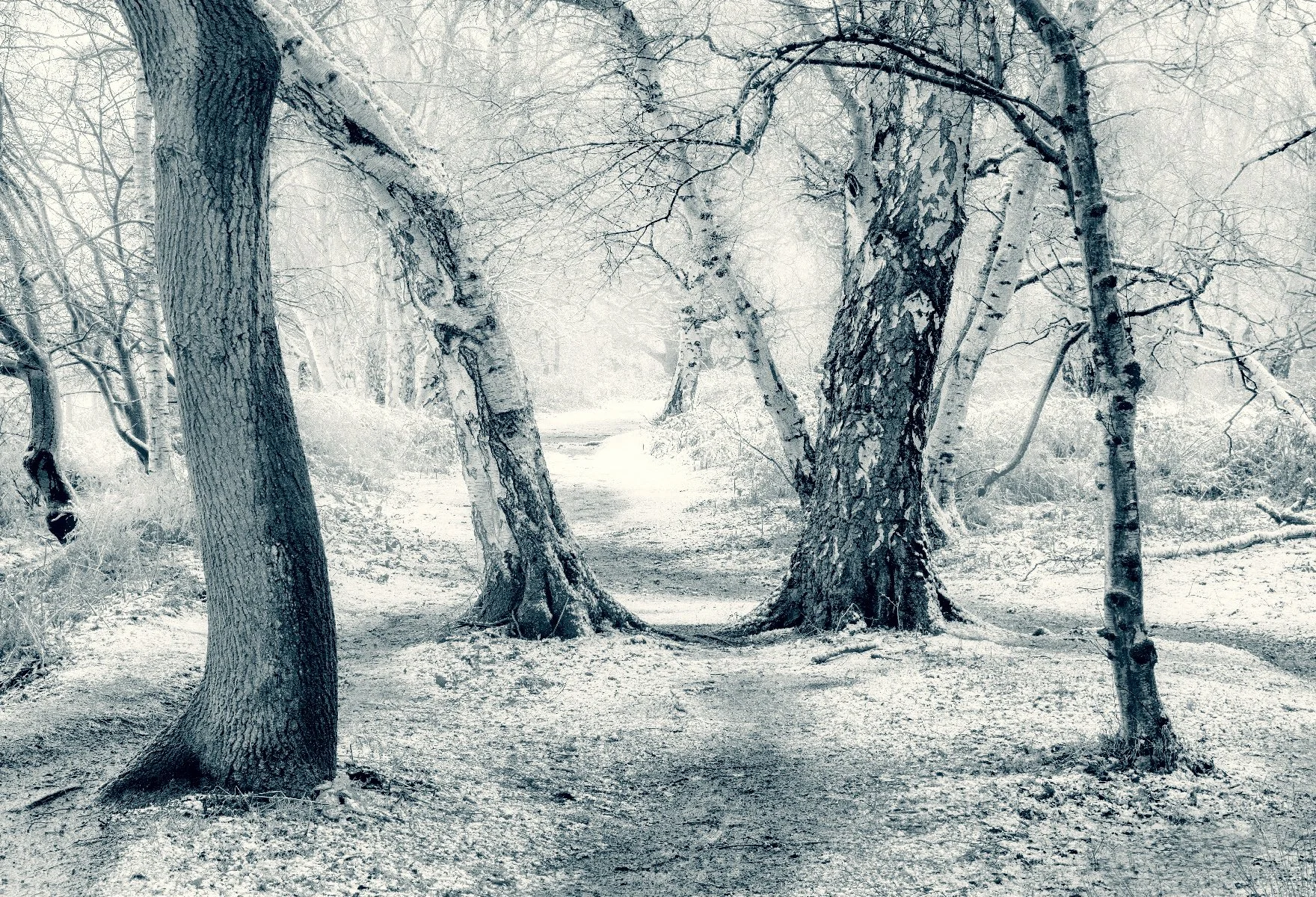 l27b P2024481 wide mono lith.jpg