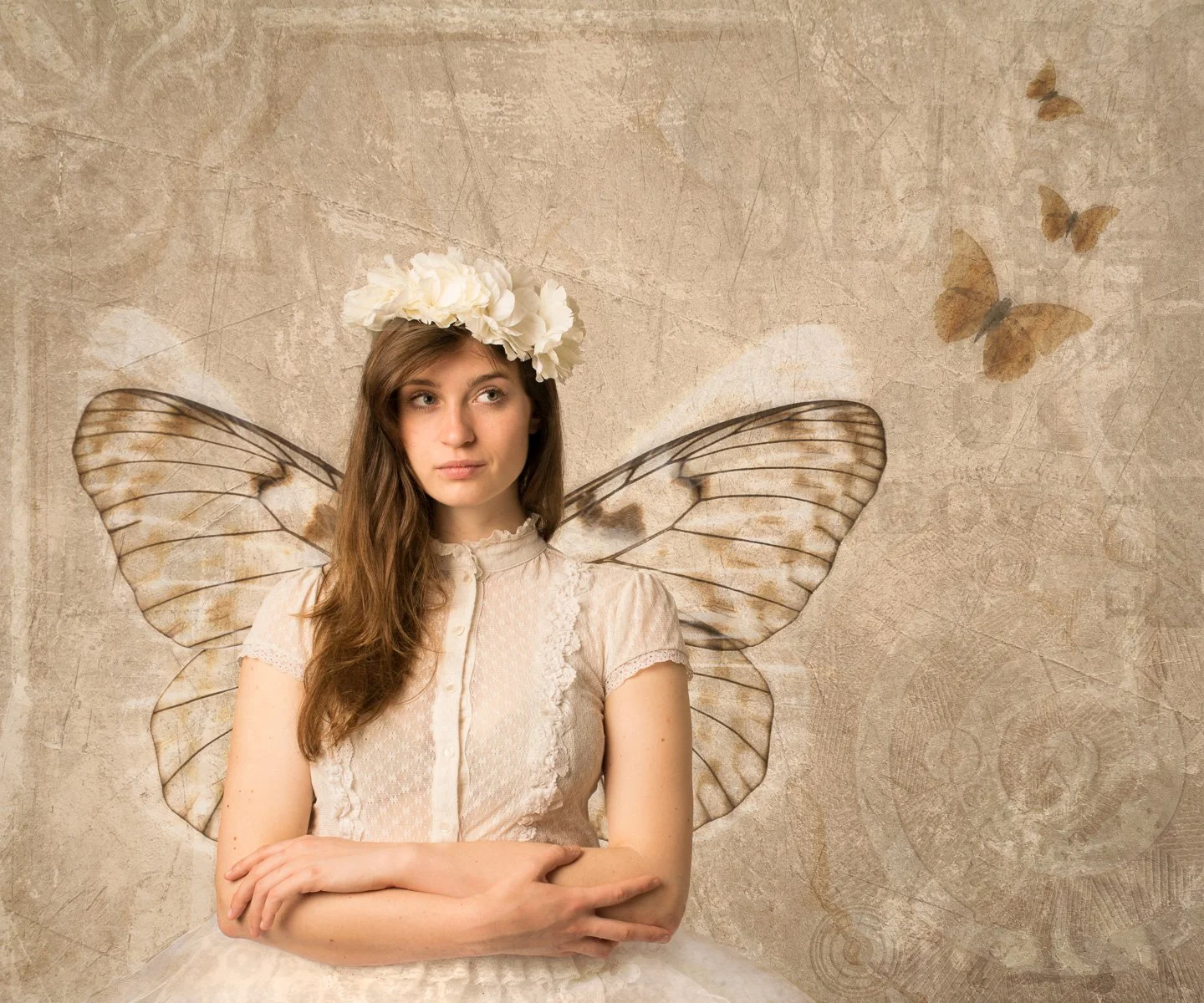 Butterflies 3.jpg