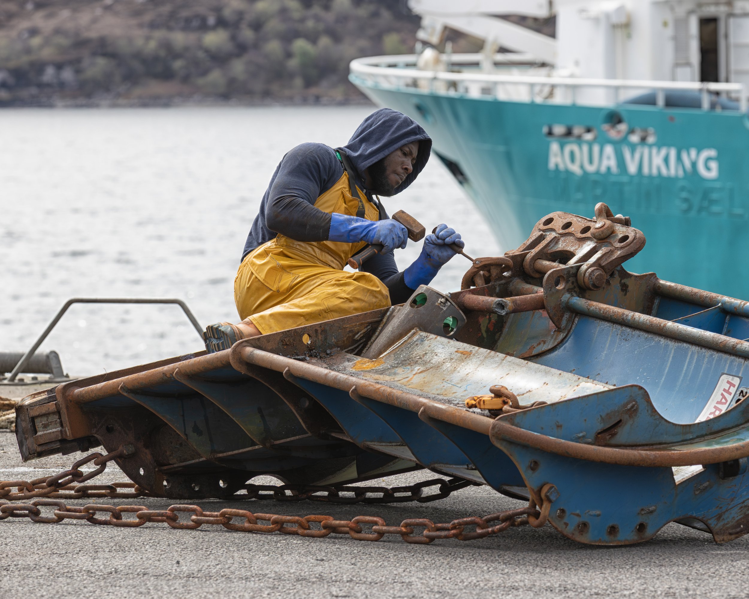 HARBOUR 8.jpg