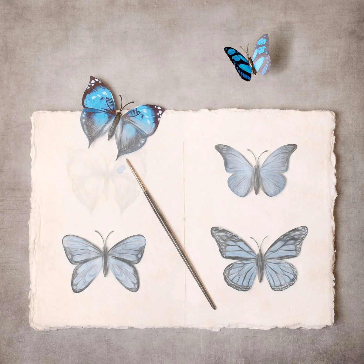Butterflies 2.jpg