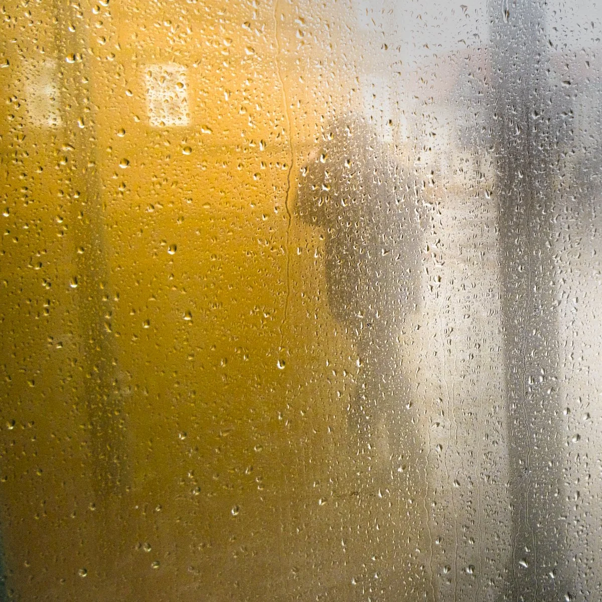 17__Through Glass.jpg