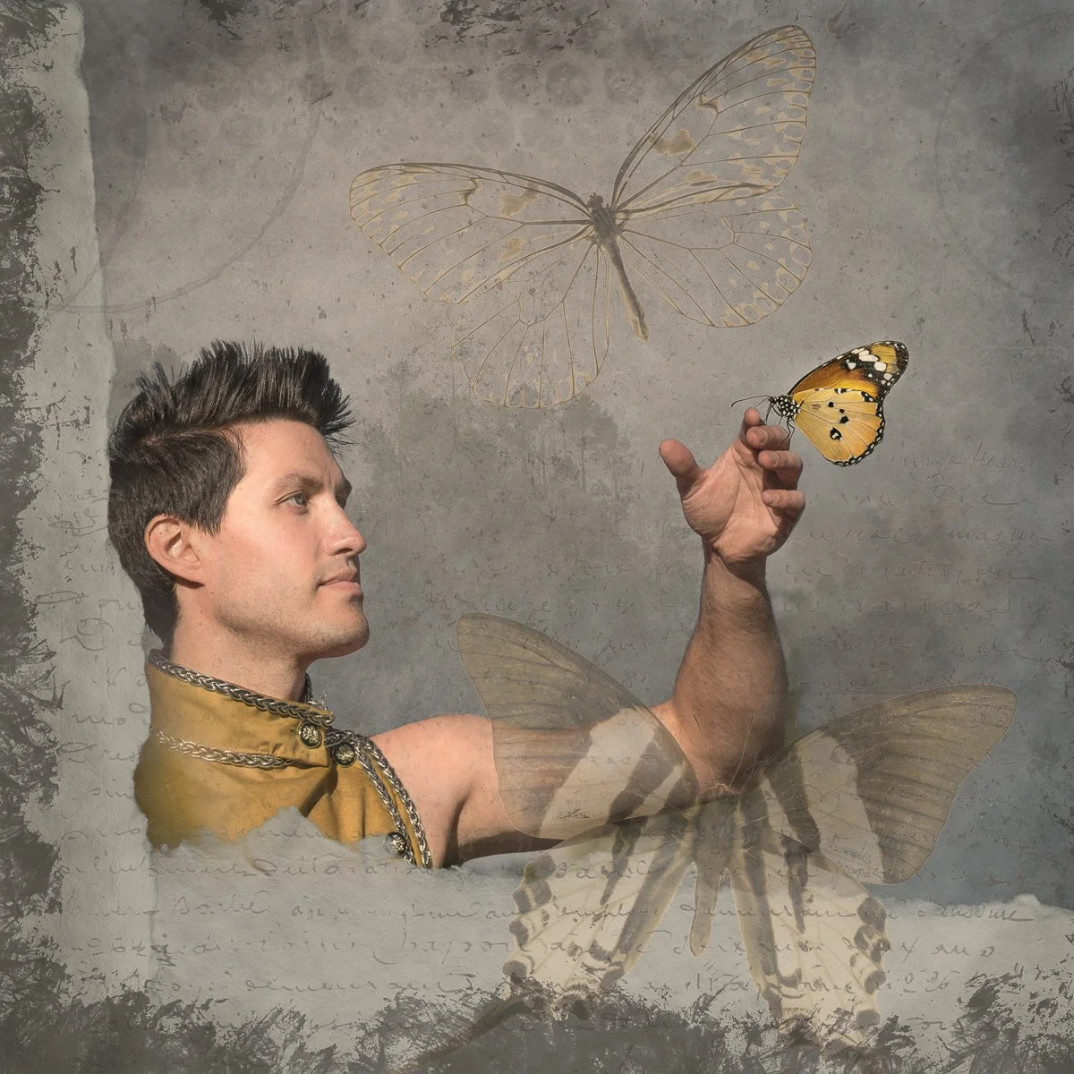 Butterflies 1.jpg