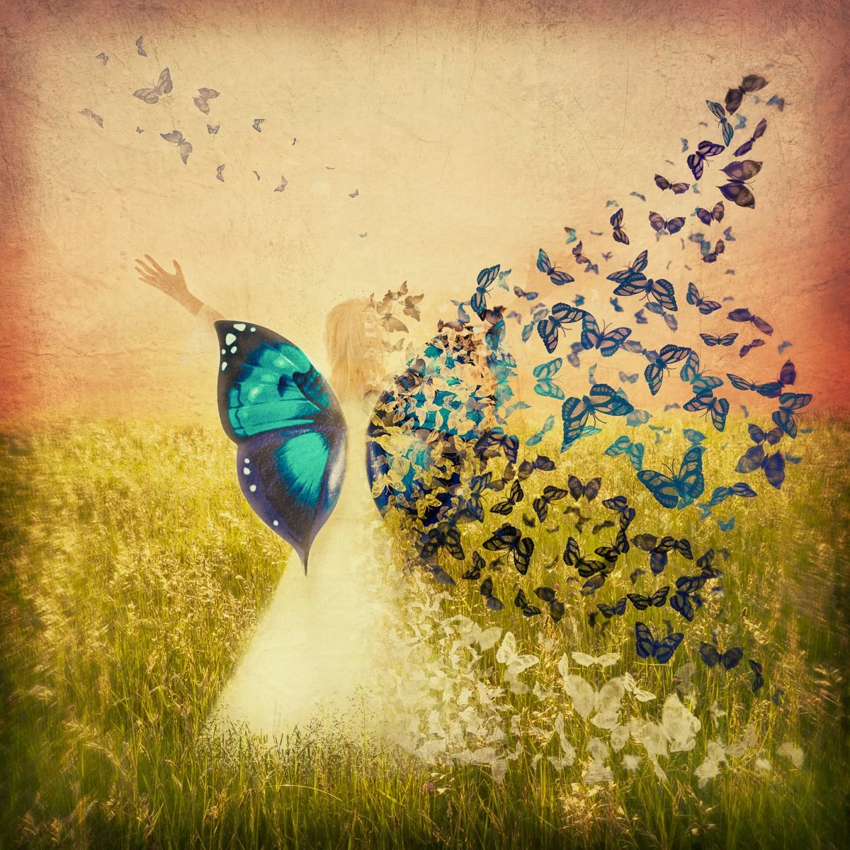 Butterflies 4.jpg