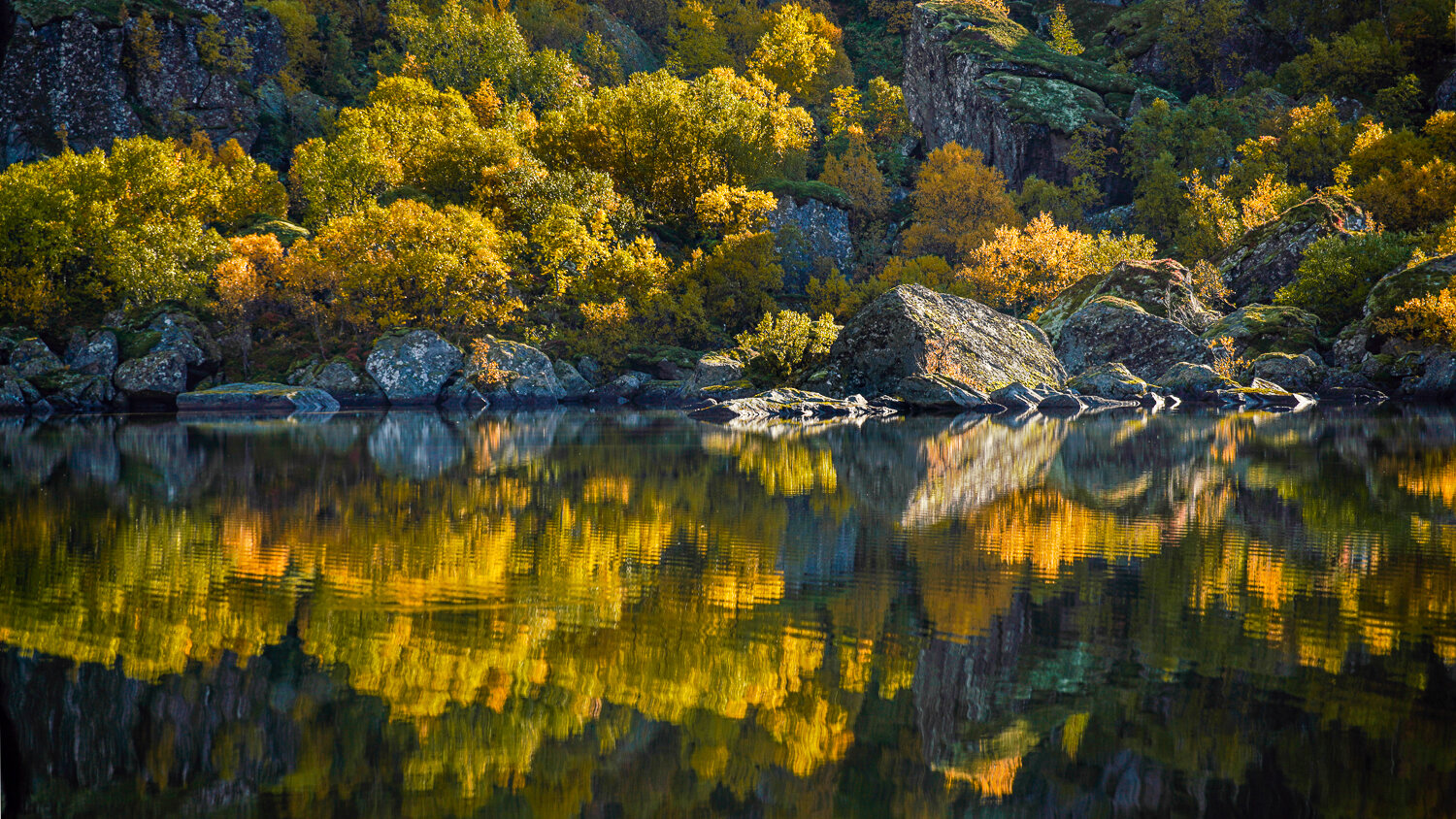 _JLI7869-HDR.jpg