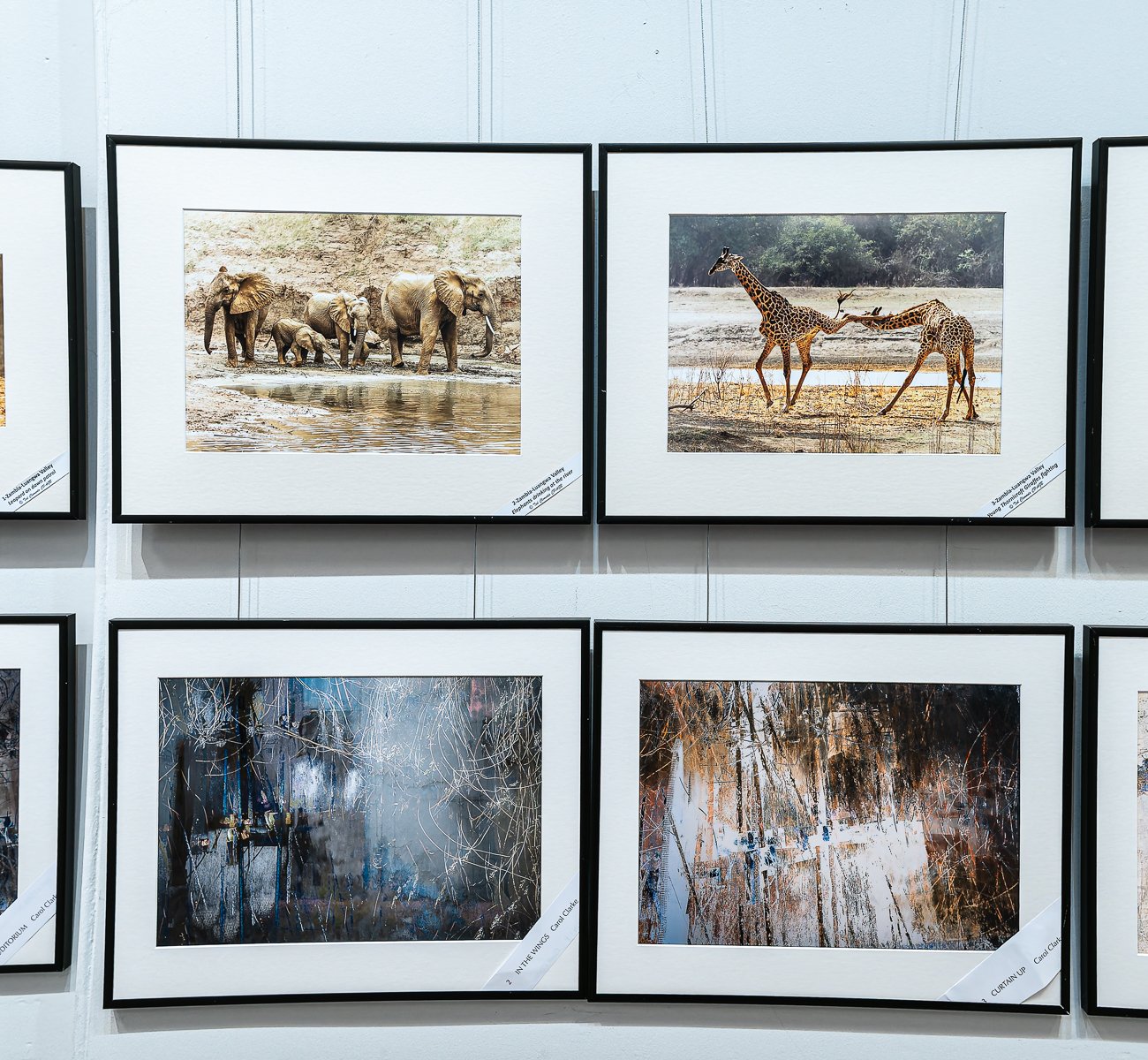 Monty_GAMMA at EPS_15.jpg