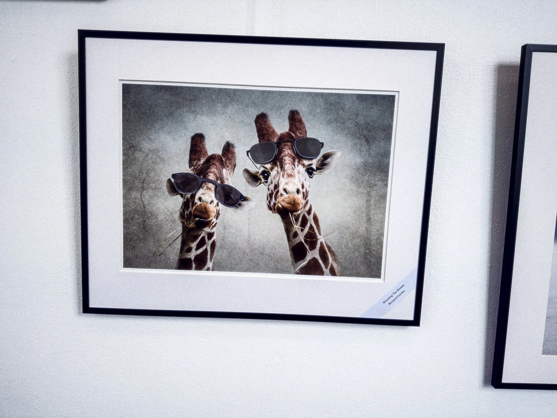 Monty_Gamma Exhibition at York_6.jpg