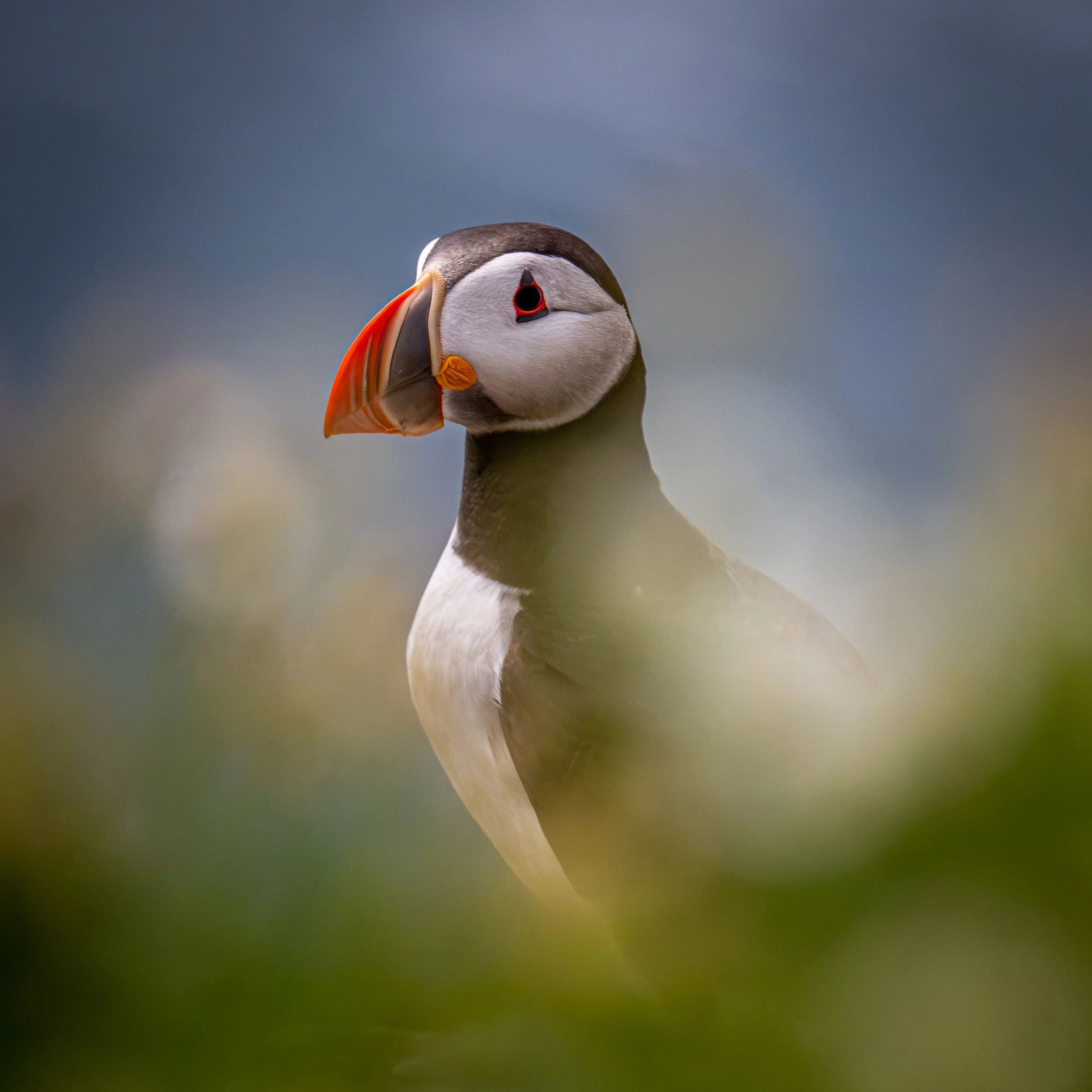 DSC_1463-2.jpg