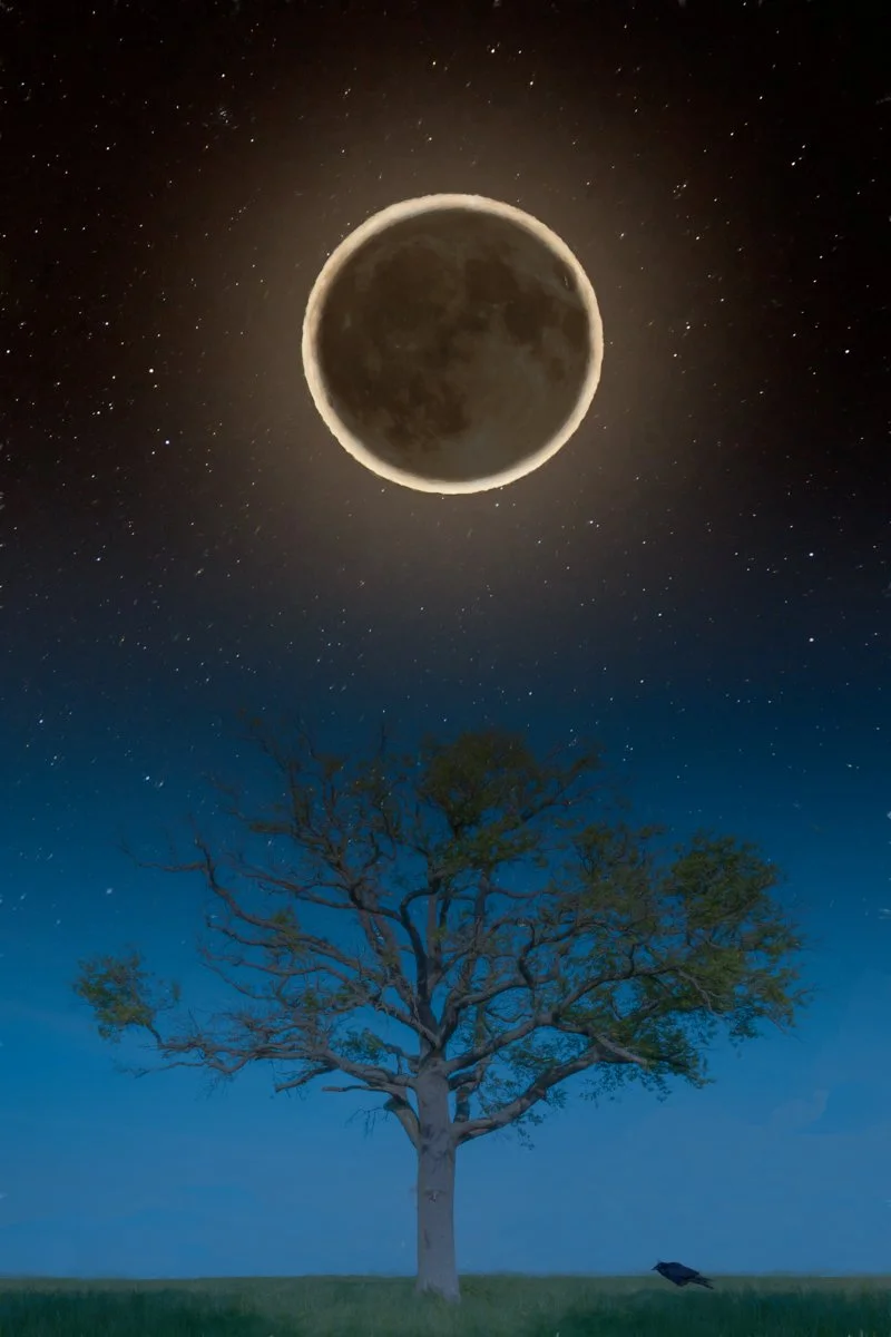 The Lone Tree 2.jpg