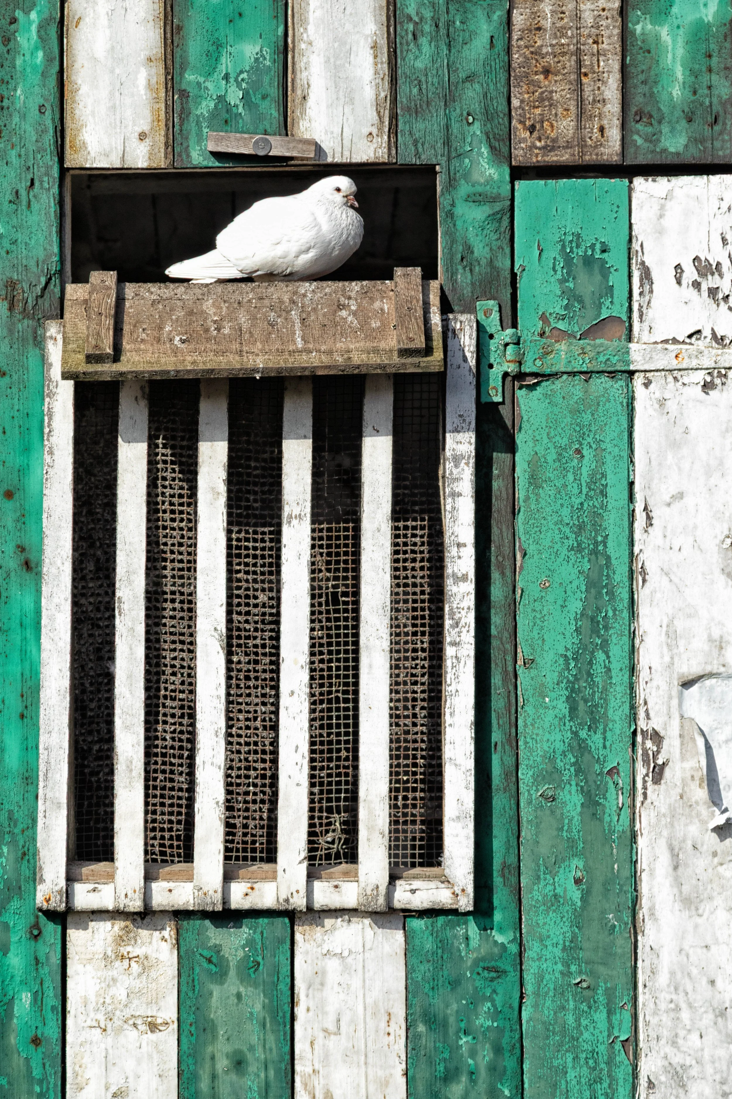 Interactions. The, The Bad and the Ugly 1.jpg