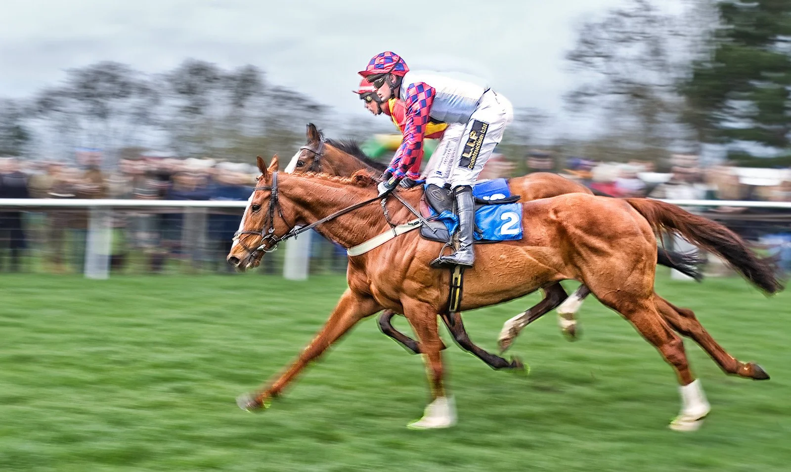 photo finish ahead.jpg