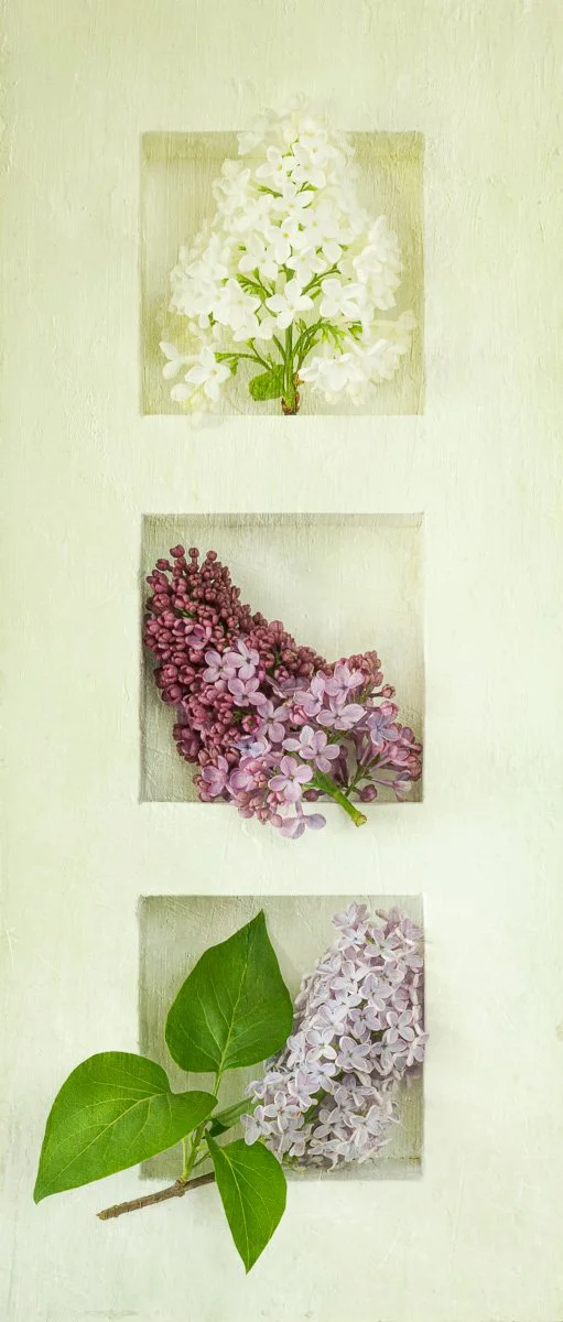 Still life 5.jpg