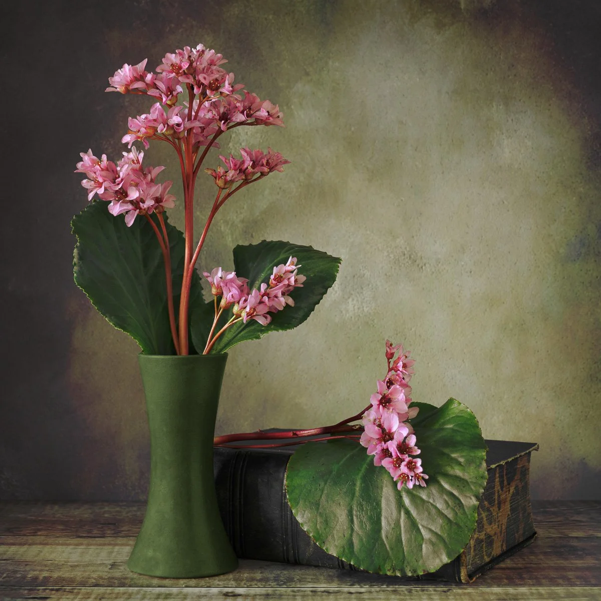 Still life 2.jpg