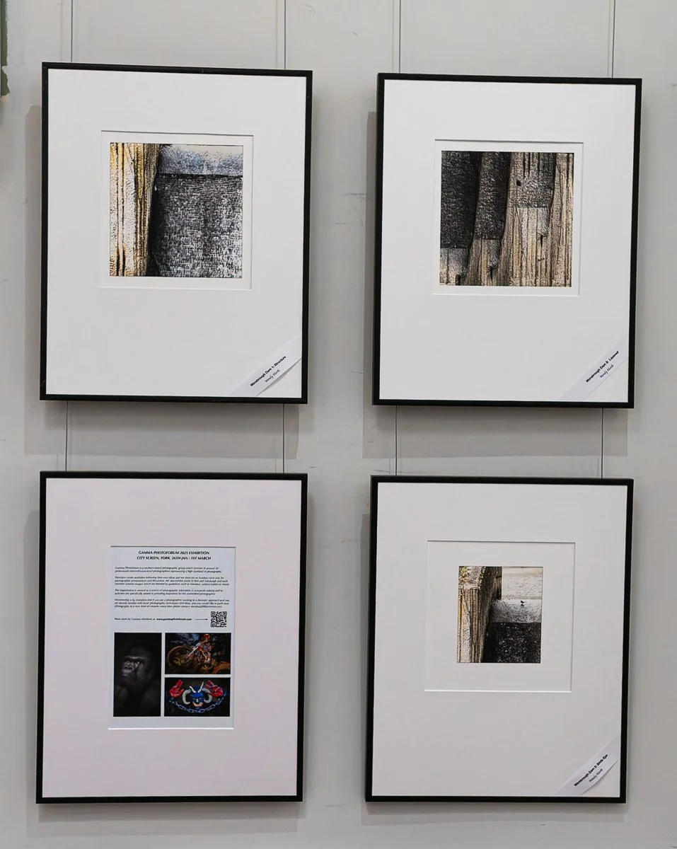 Monty_GAMMA at EPS_24.jpg