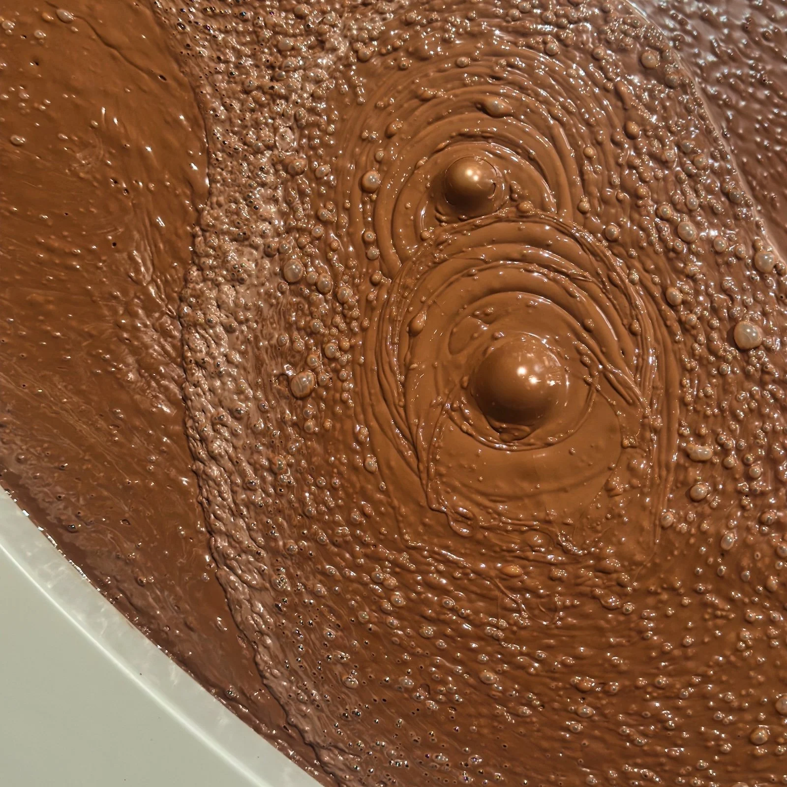 'Cacao', Helen Chadwirck 1994.jpeg