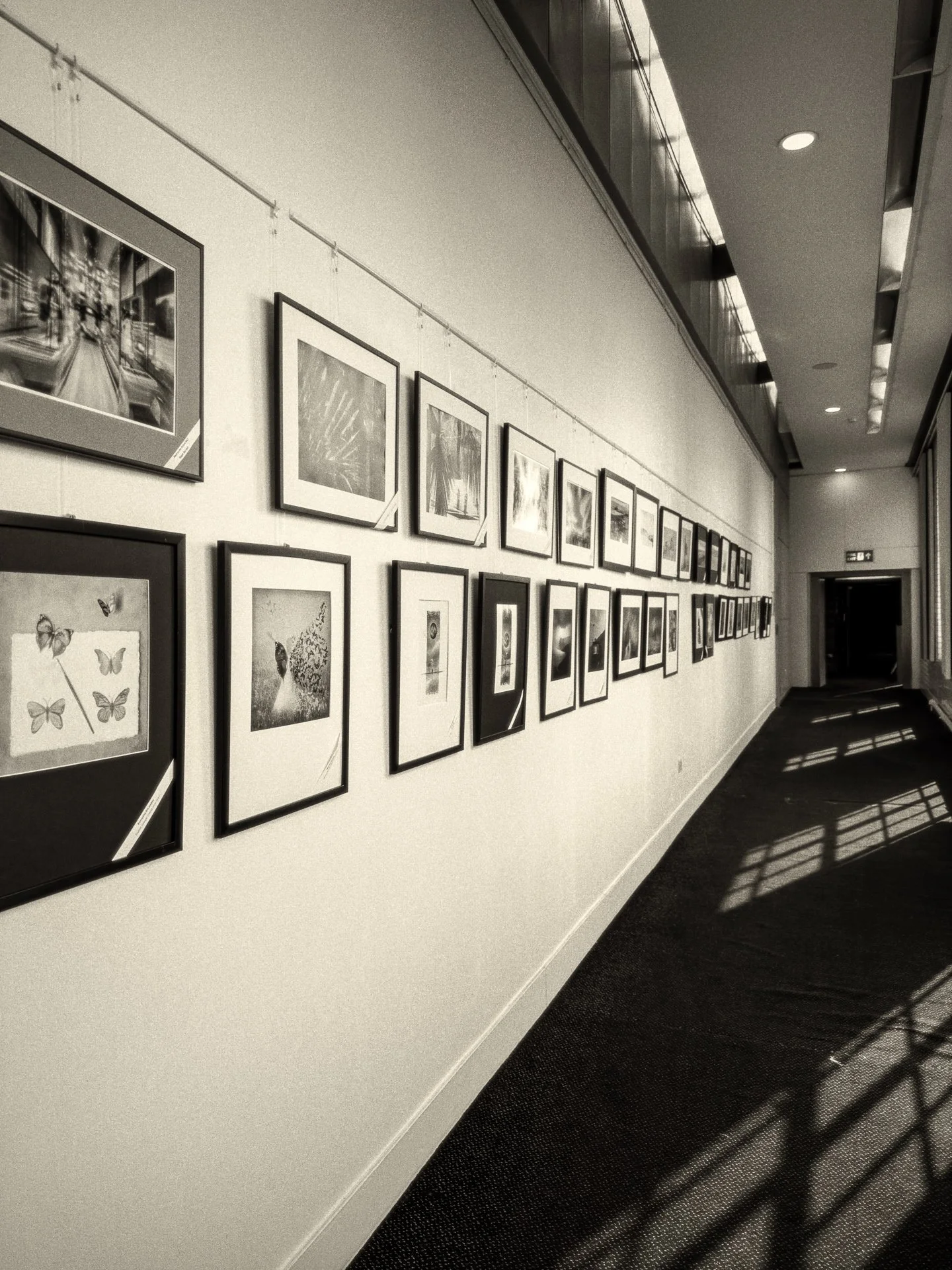 Monty_Gamma Exhibition at York_1.jpg