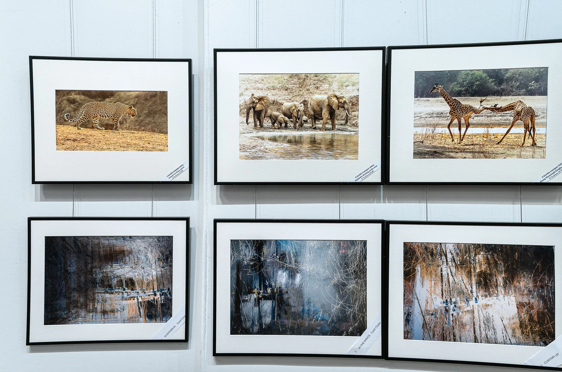 Monty_GAMMA at EPS_16.jpg