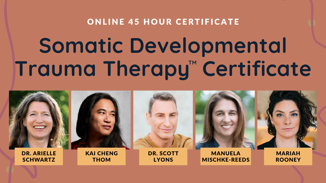 Somatic Developmental Trauma Therapy™ Certificate