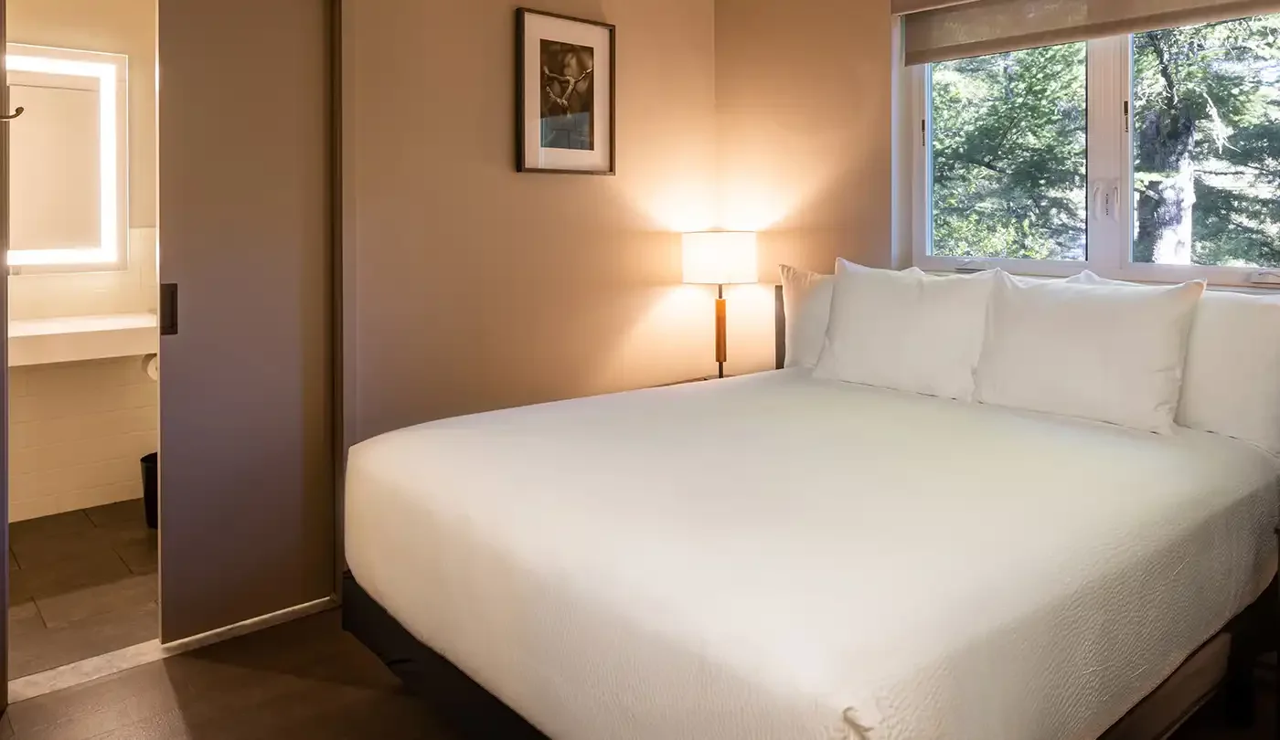 1440 Multiversity Class Room King bed.webp