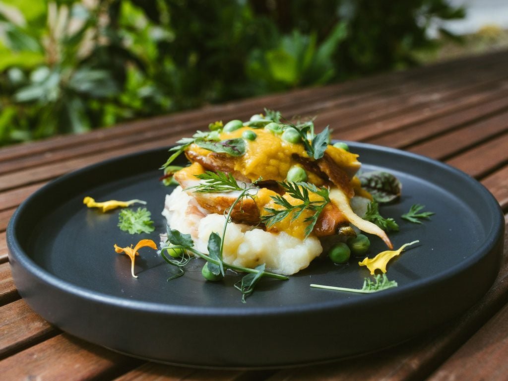 culinary-dish1.jpg