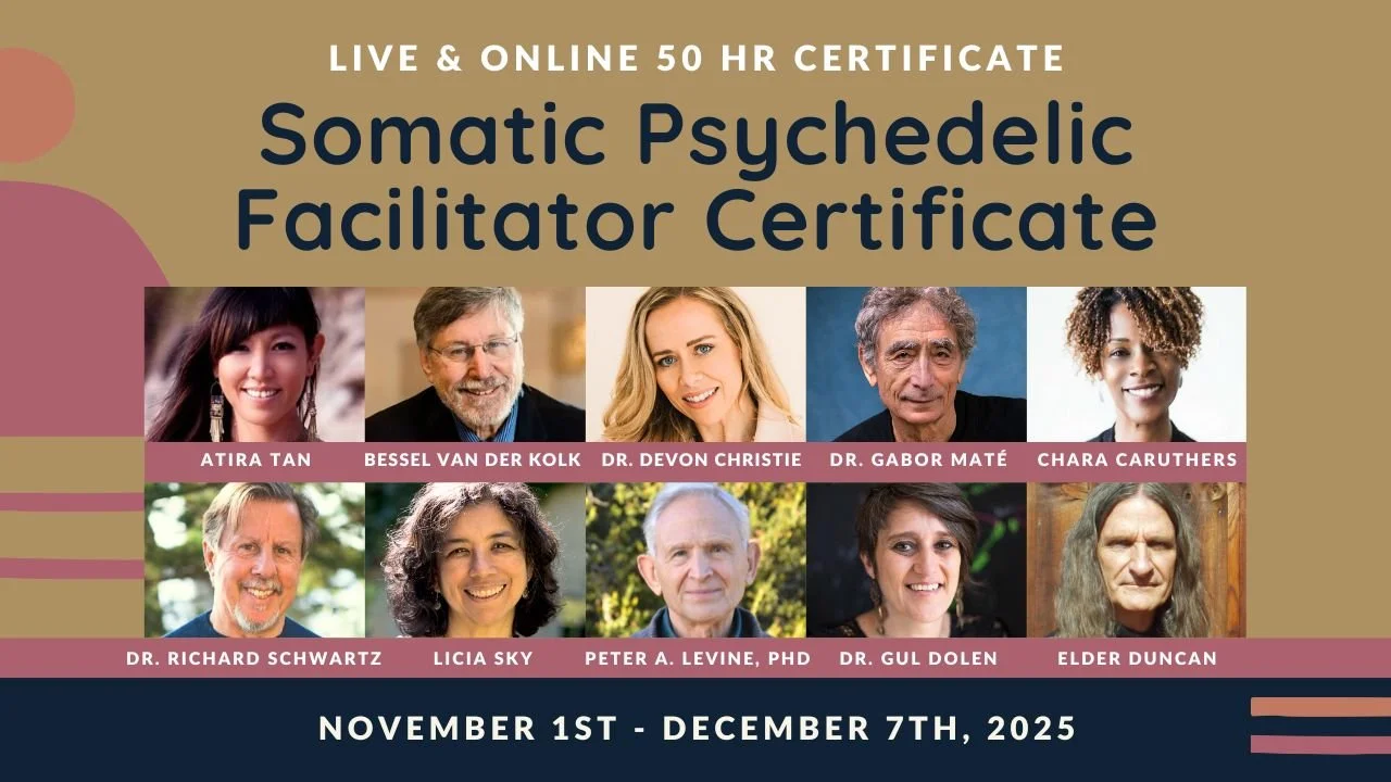 Somatic Psychedelic Facilitator Certificate