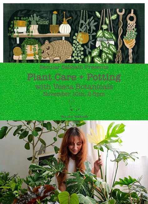 🪴 Rooted Wisdom: Cultivating Connection with Plants 🪴