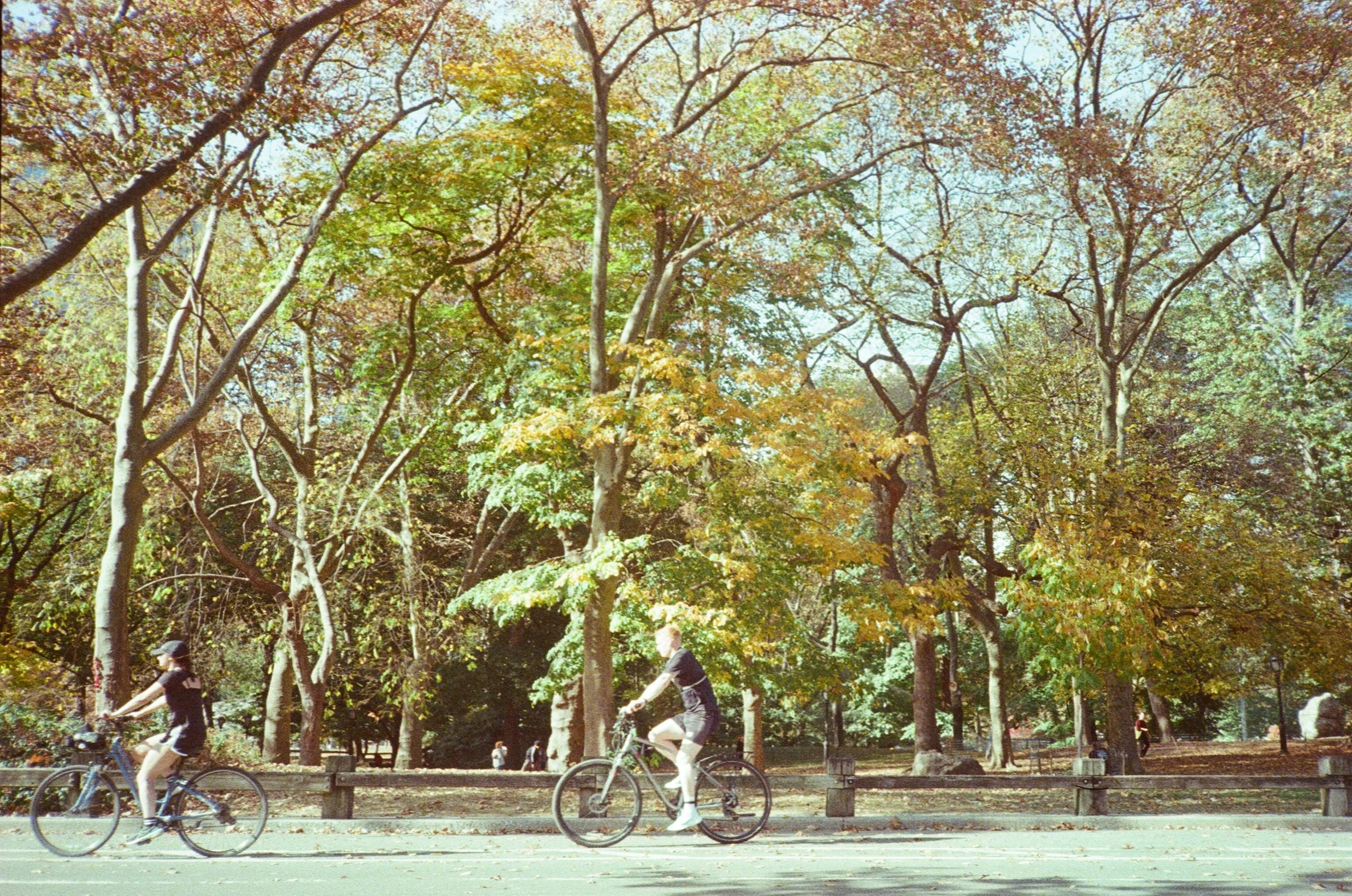 IMG_1991.png