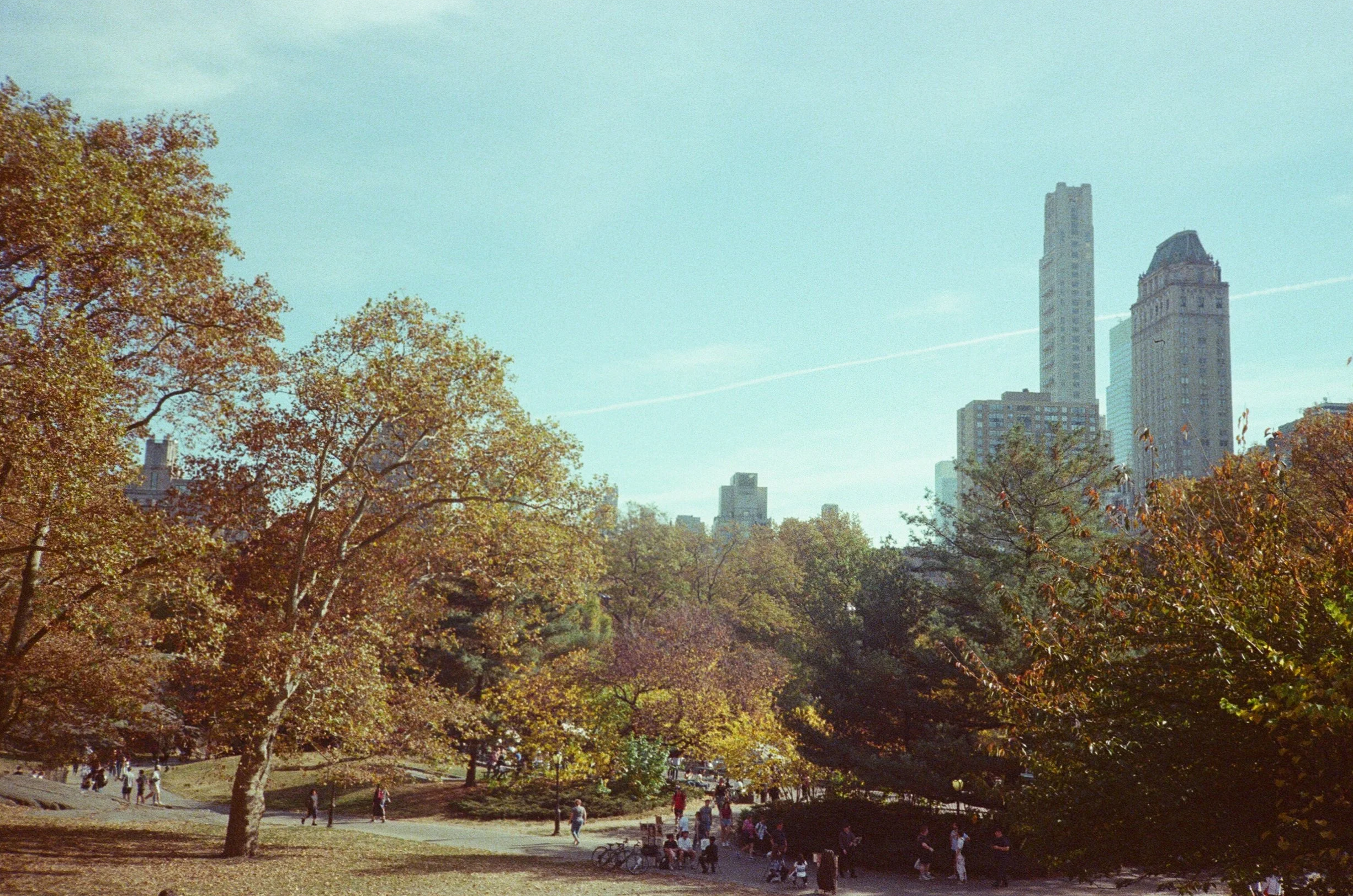 IMG_2005.png