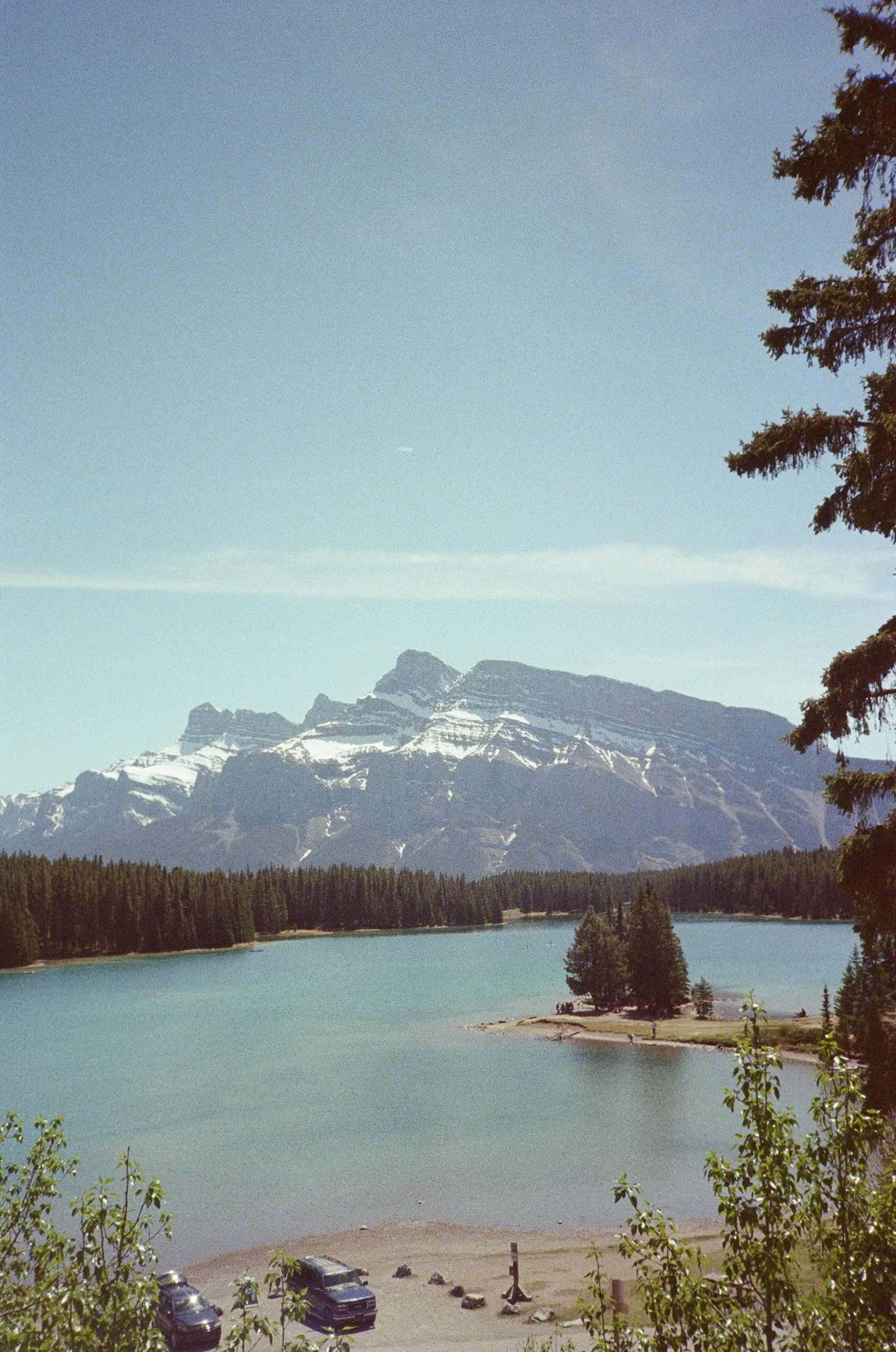 IMG_2010.jpeg