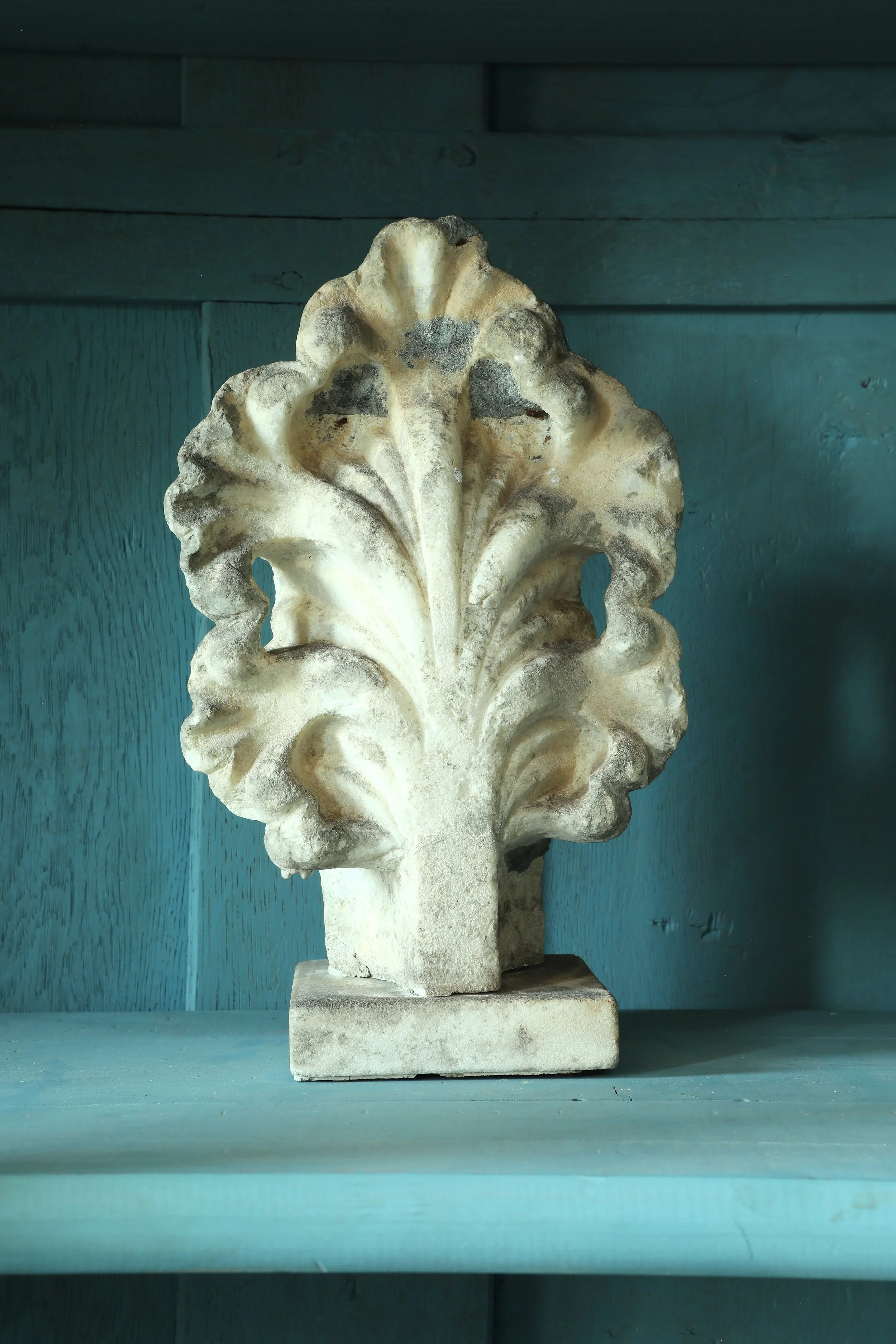 Curio Shop Spring 20244314.jpg