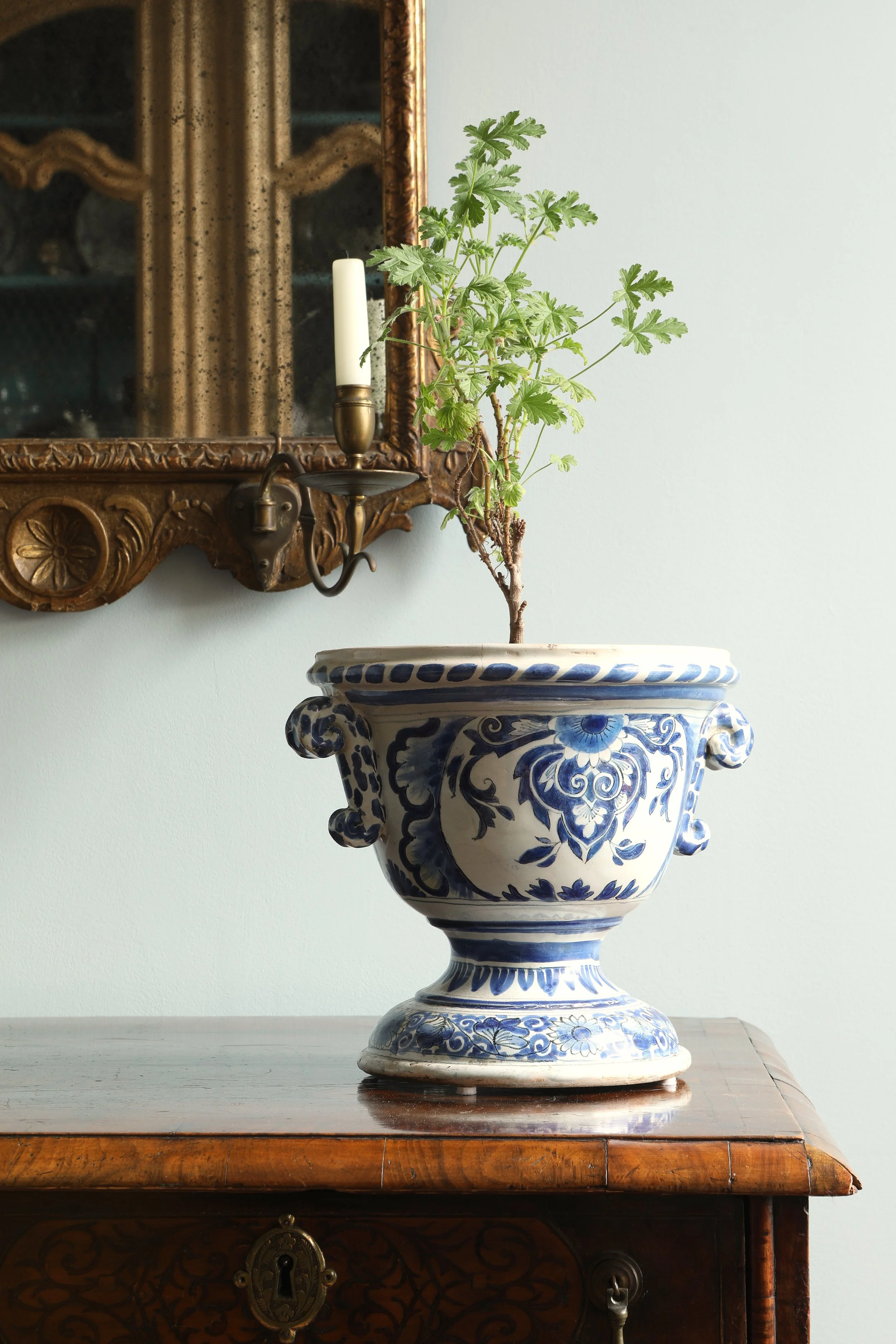 Curio Shop Spring 20243817.jpg