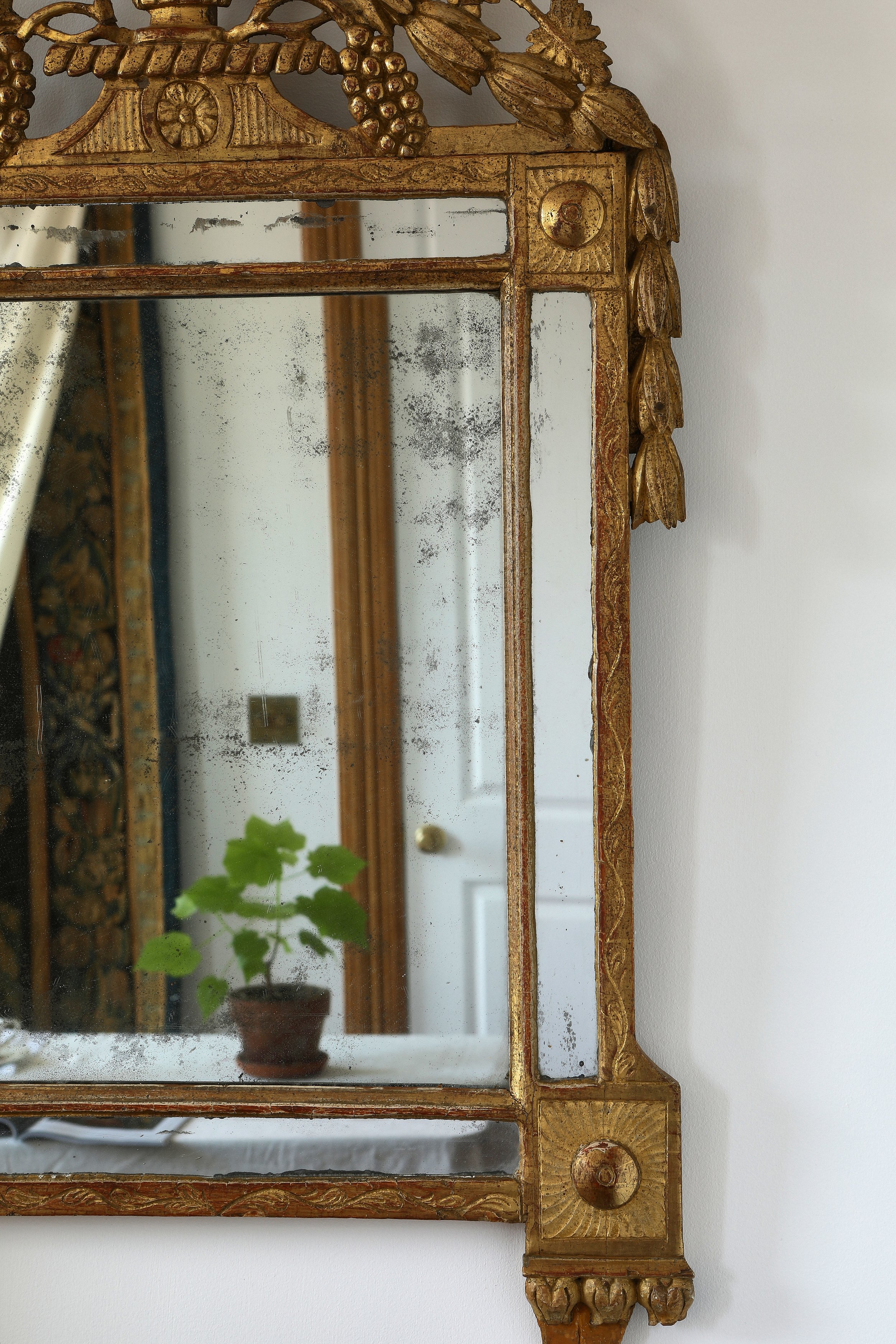 Curio Shop Spring 20246685.jpg