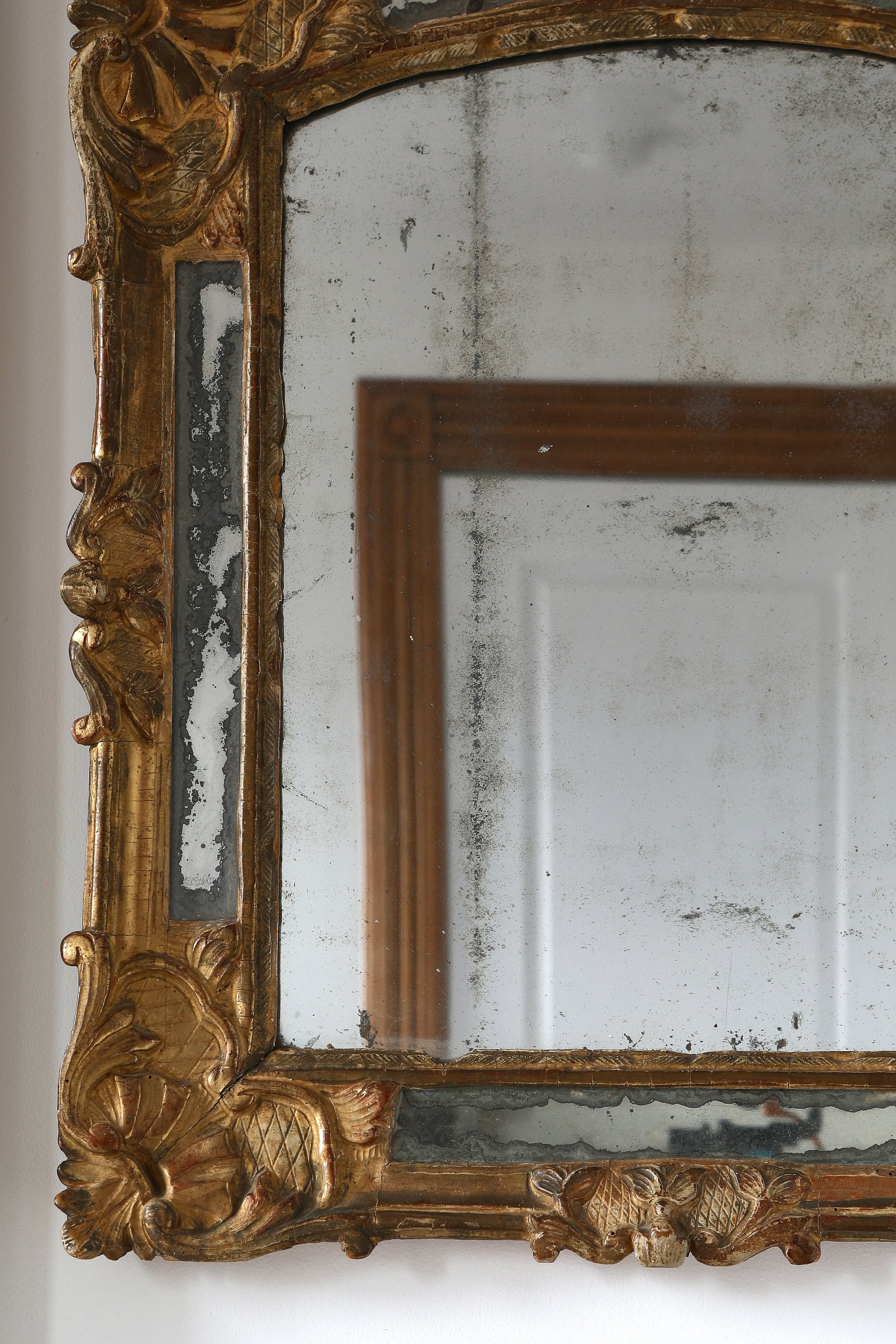 Curio Shop Spring 20242023 1.jpg